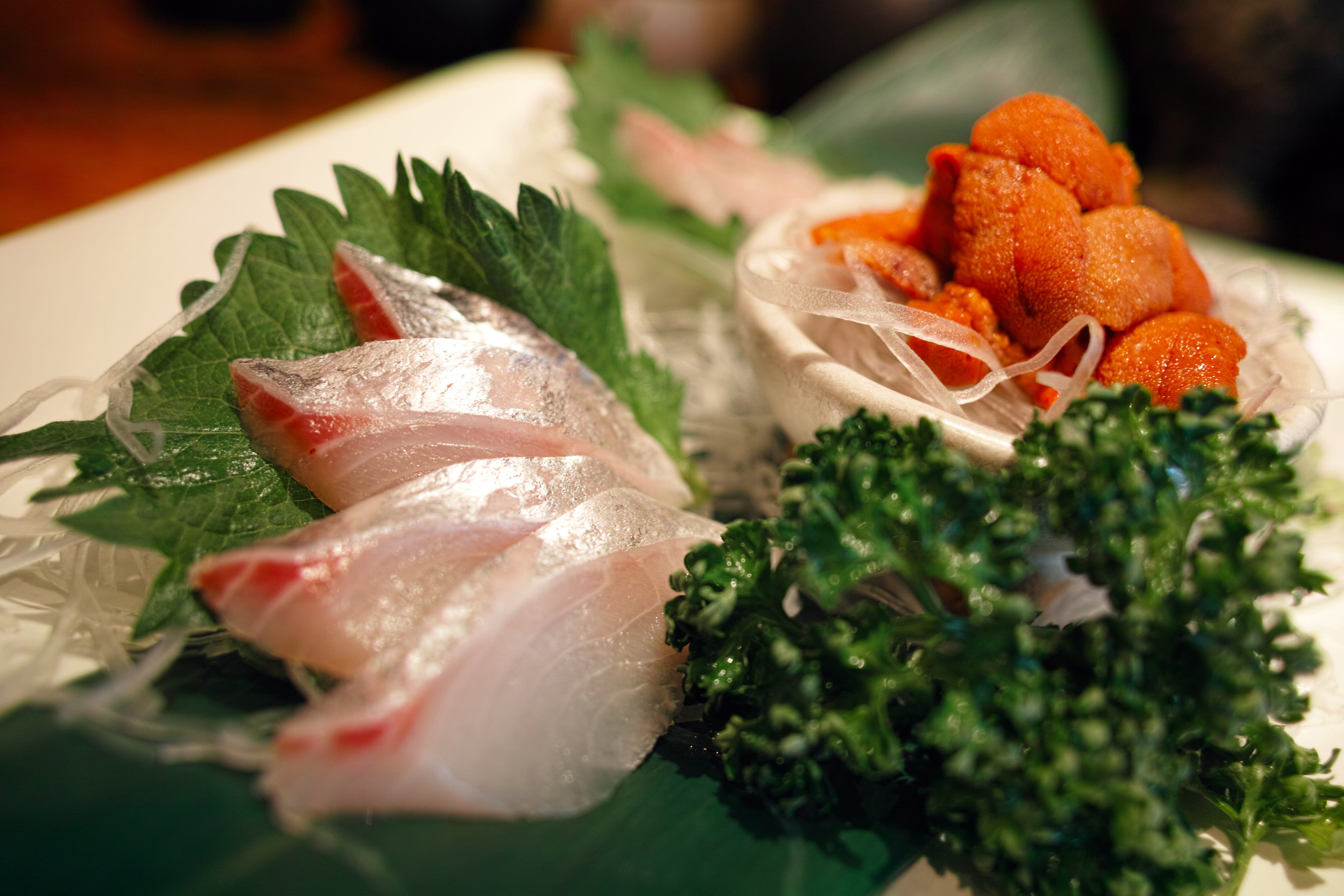 fish, Japanese Food, sea ​​urchin, asian food, freshness, seafood, selective focus, japan food, herb, food, restaurant, wellbeing, healthy eating, plant part, HD Wallpaper