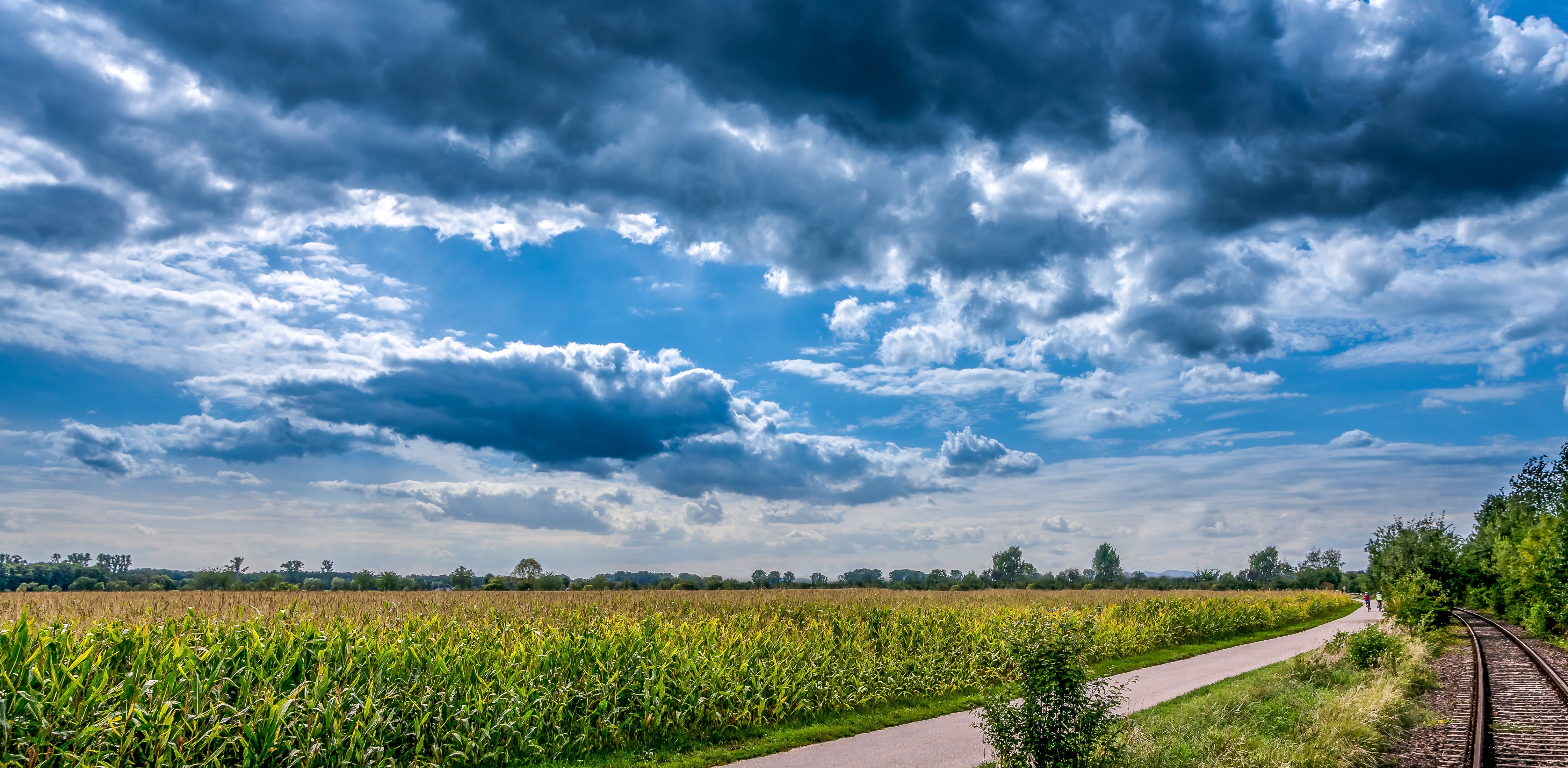 outdoors, crop, environment, agriculture, non-Urban Scene, clouds, plant, no People, scenics, sky, day, land, tranquility, beauty In Nature, cloud - Sky, HD Wallpaper