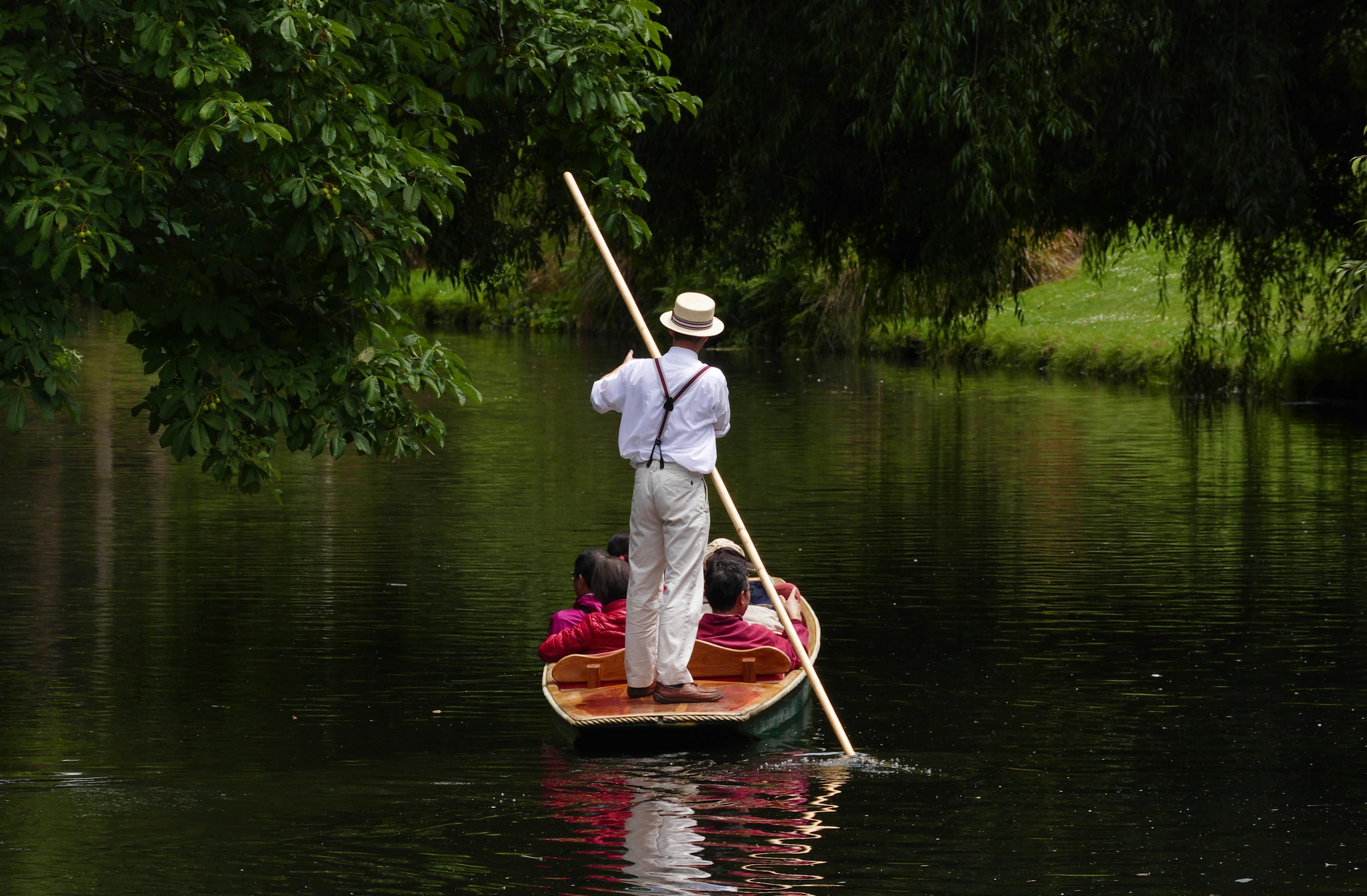 leisure, new zealand, romantic, man, one person, punt boat, lifestyles, casual, lake, holding, plant, sitting, reflection, transportation, avon river, tree, HD Wallpaper