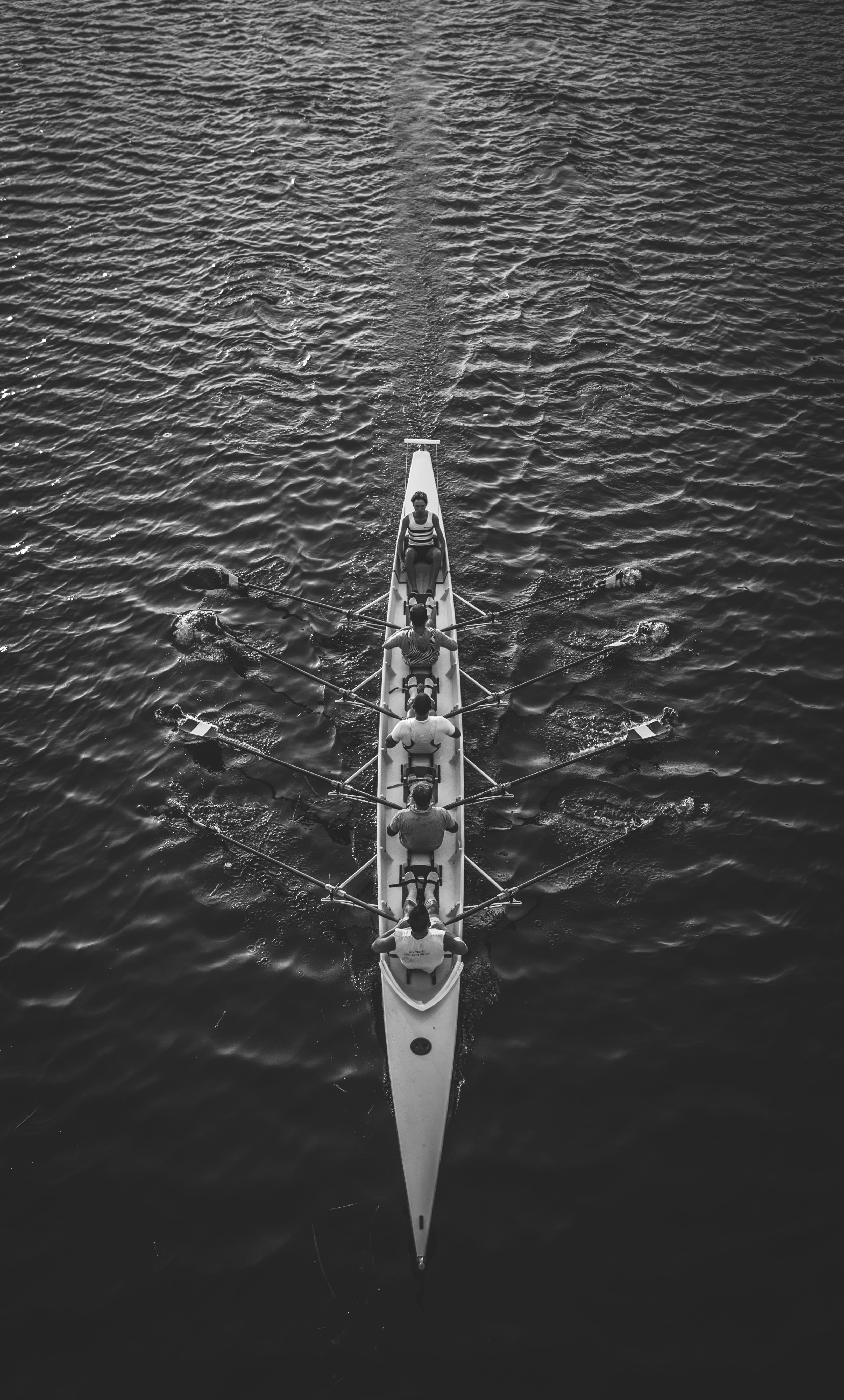 travel, sea, waterfront, nature, riding, 5K, rowing, nautical Vessel, canottari, outdoors, canoeing, leisure Activity, crew, day, men, river, boat, mode of transportation, Phone HD Wallpaper