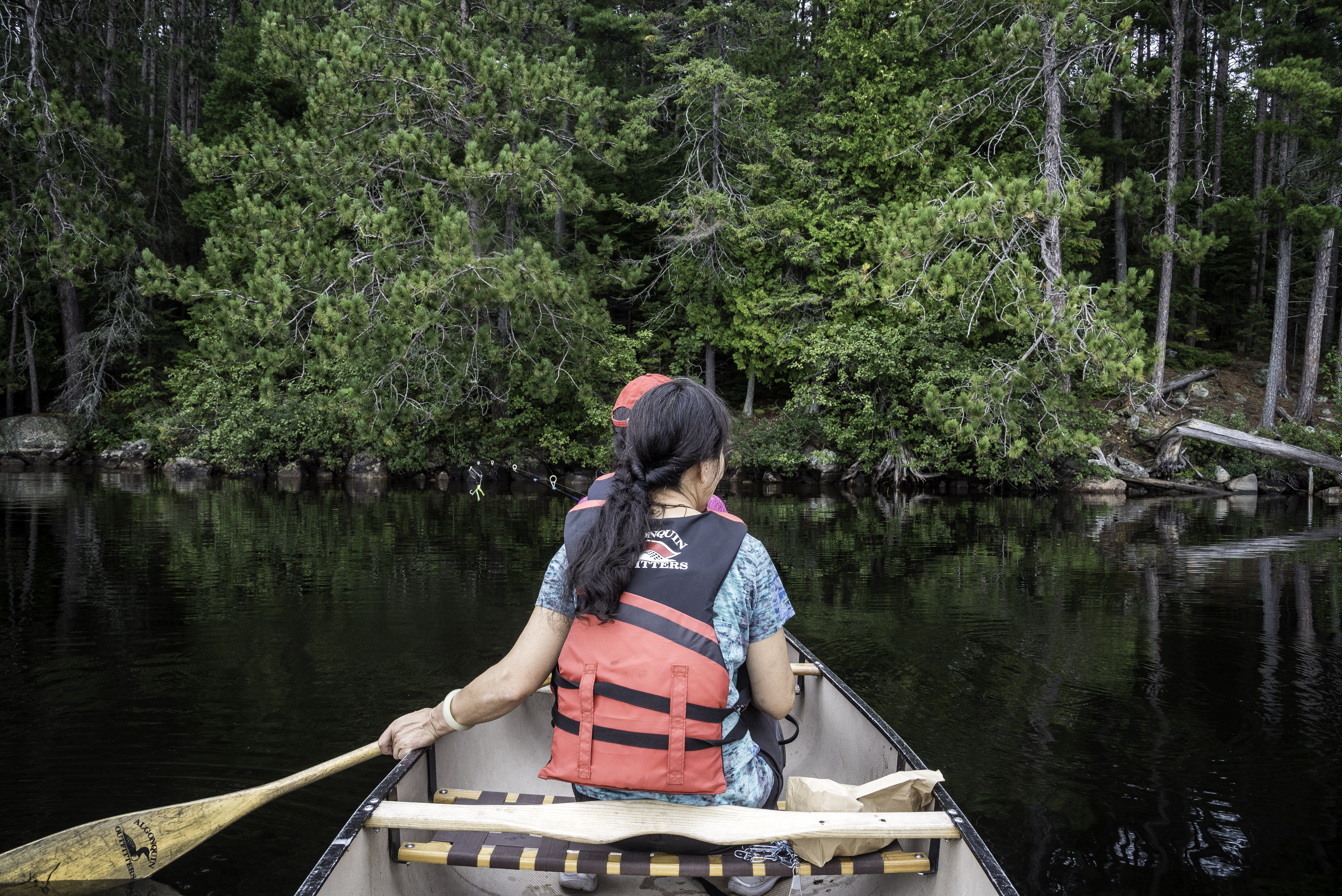 Ontario, rowing, tree, nature, mode of transportation, photos, oar, one woman only, public domain, real people, outdoors, nautical Vessel, lake, sitting, HD Wallpaper