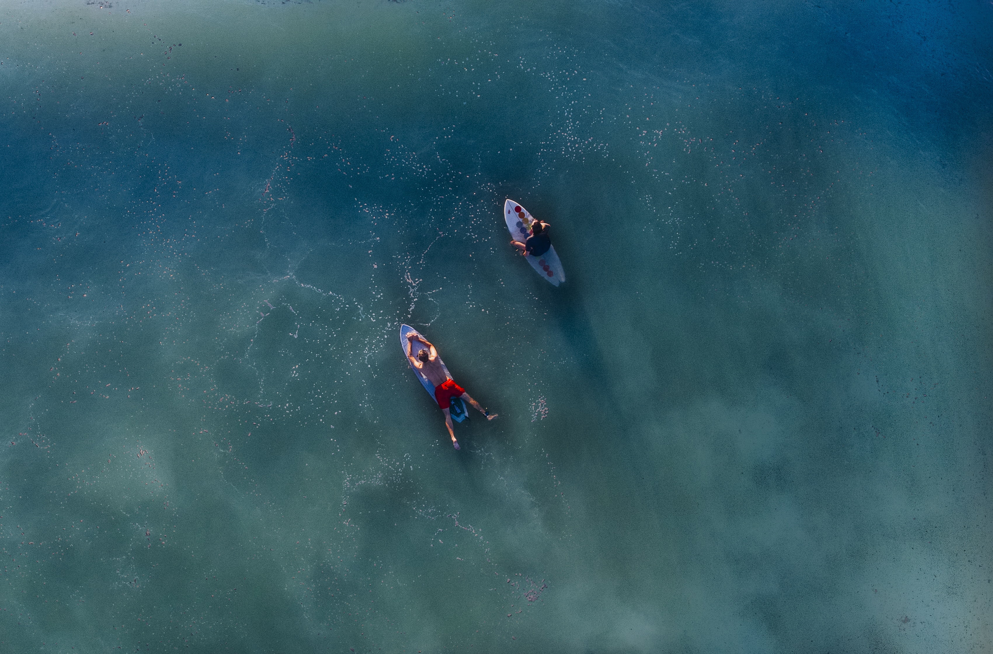 ocean, waterfront, sport, recreational pursuit, lifestyles, real people, people, high angle view, adventure, male, surfboards, sea, surfing, group of people, HD Wallpaper