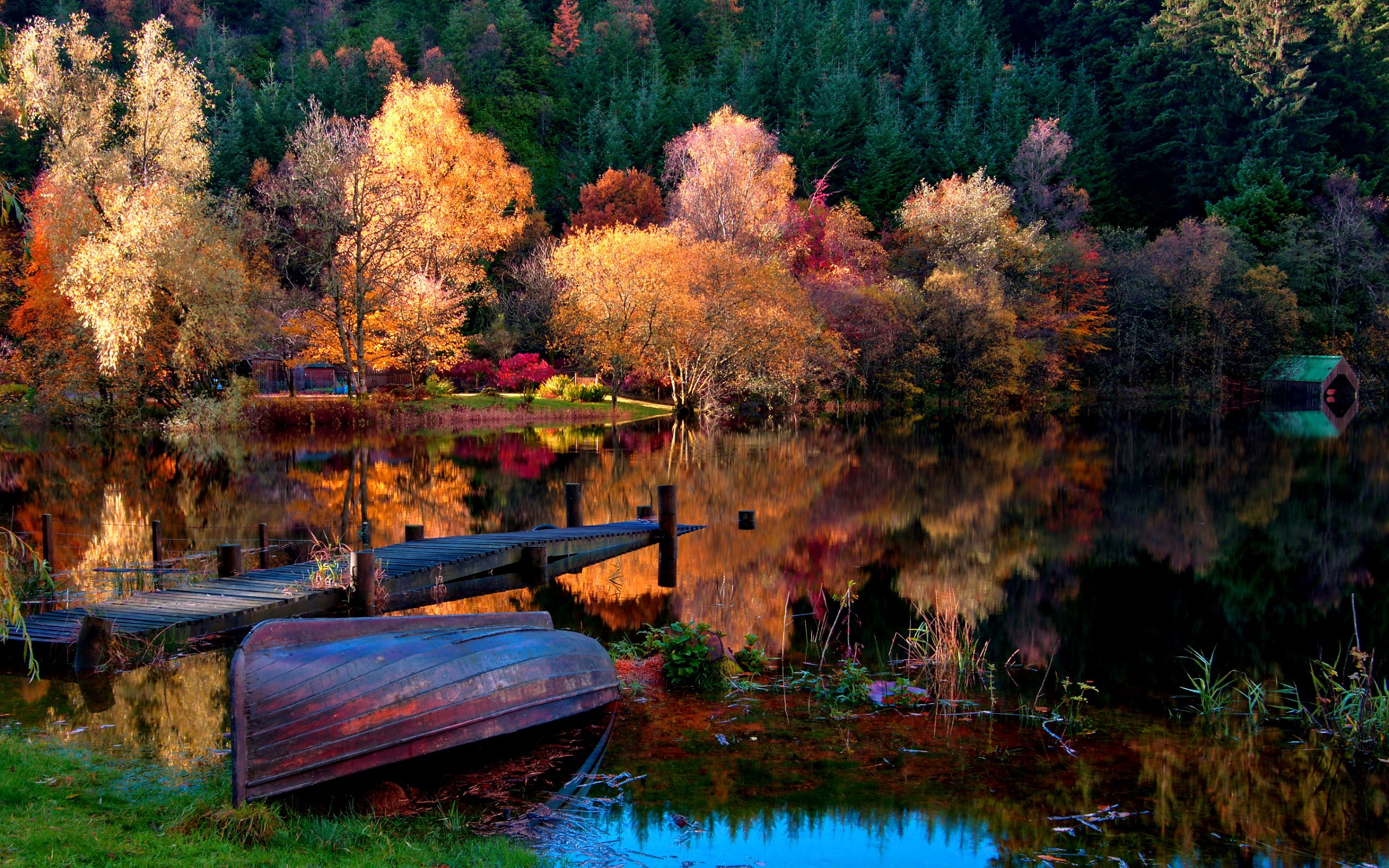 rowboat, dock, scenics - nature, waterfront, leaf, lake, day, tree, boat, tranquil scene, tranquility, 2K, change, trees, plant, transportation, beauty in nature, HD Wallpaper