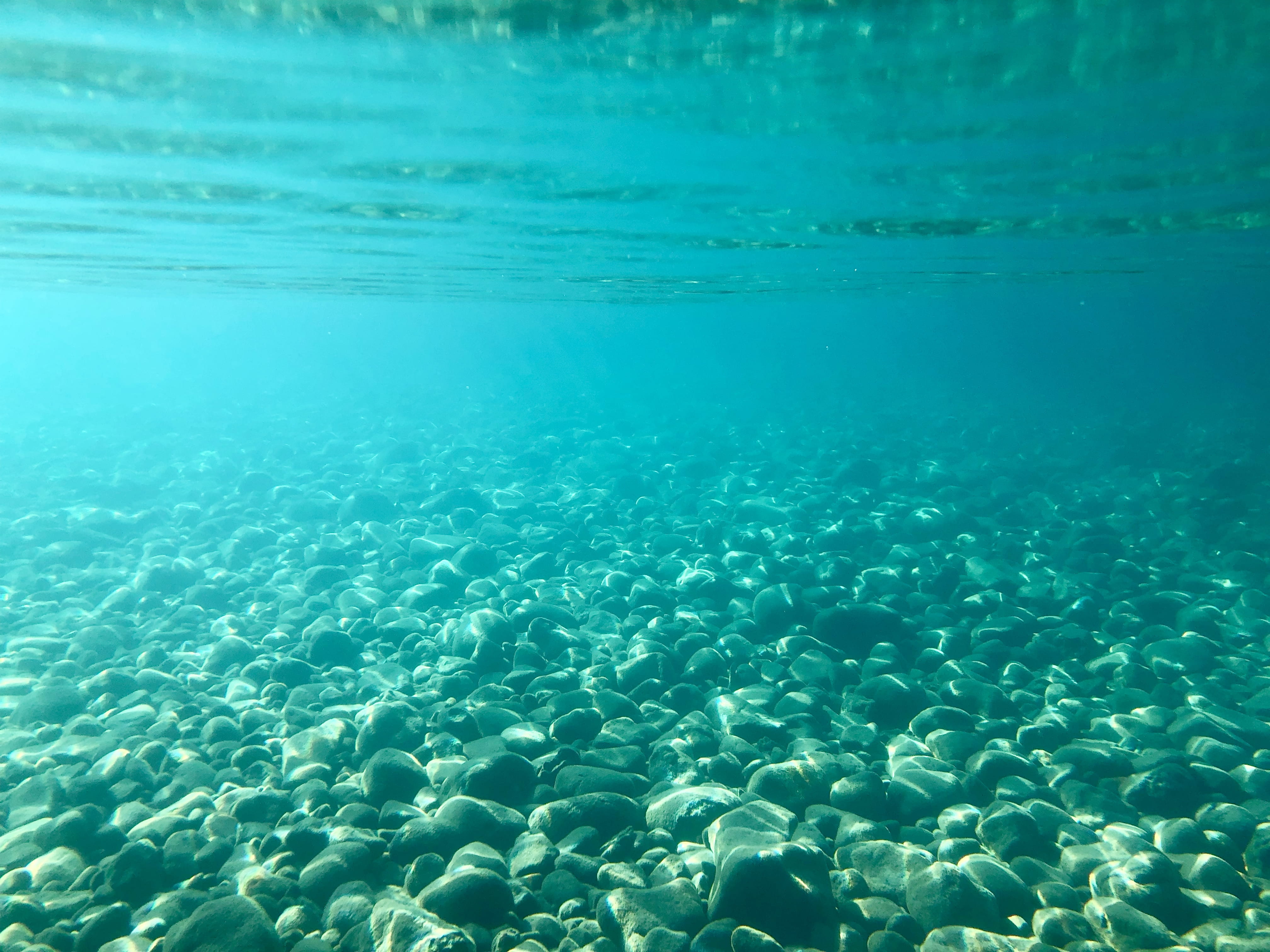 beauty in nature, underwater, purity, water, 4K, full frame, no people, undersea, day, nature, outdoors, turquoise colored, united states, tranquility, HD Wallpaper