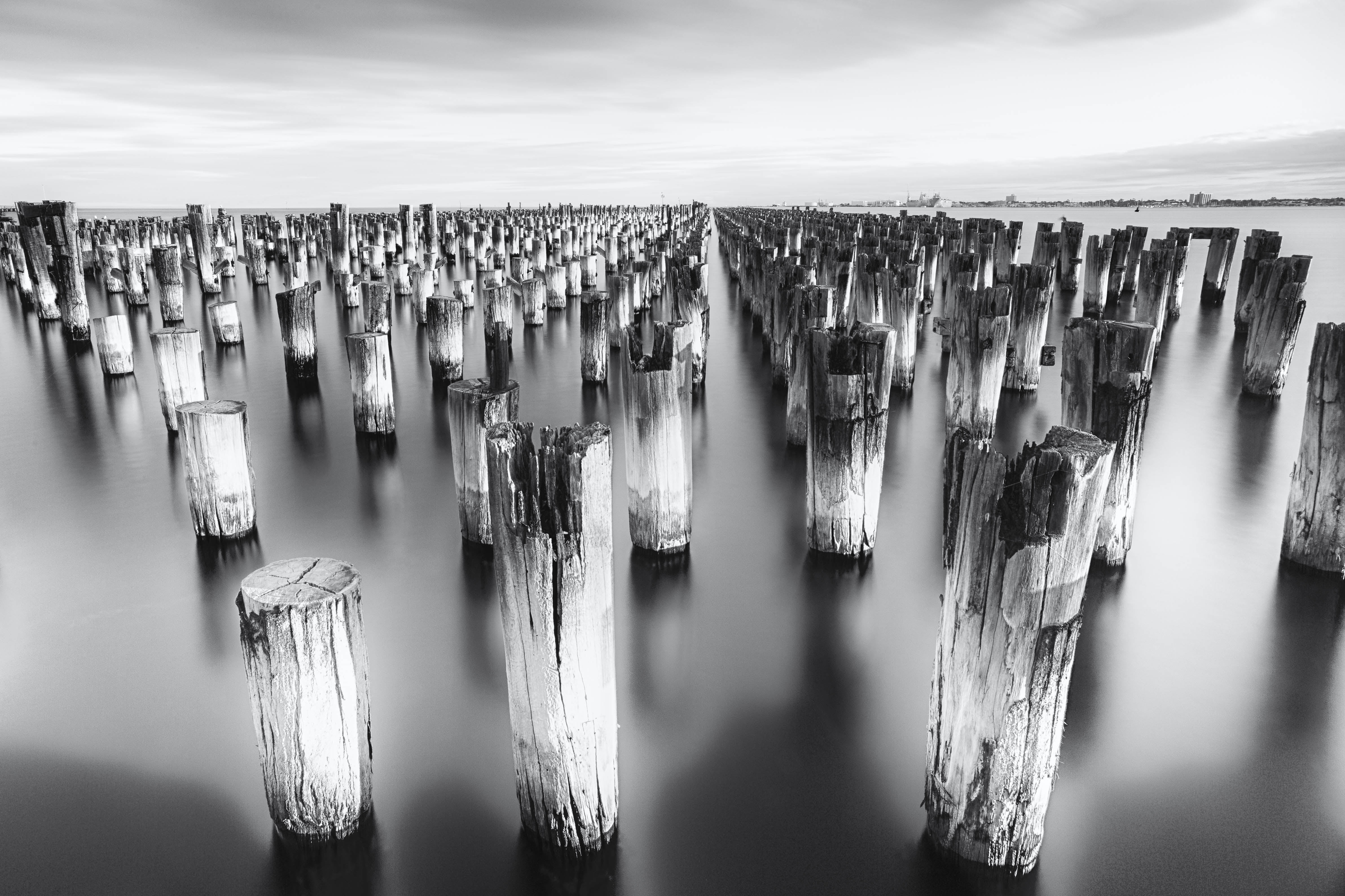Canon 5D mark III, body of water, BandW, logs, body, 4K, USM, Pier, white, landscape, f4L, Port Melbourne, water, photography, Princes, black And White, HD Wallpaper