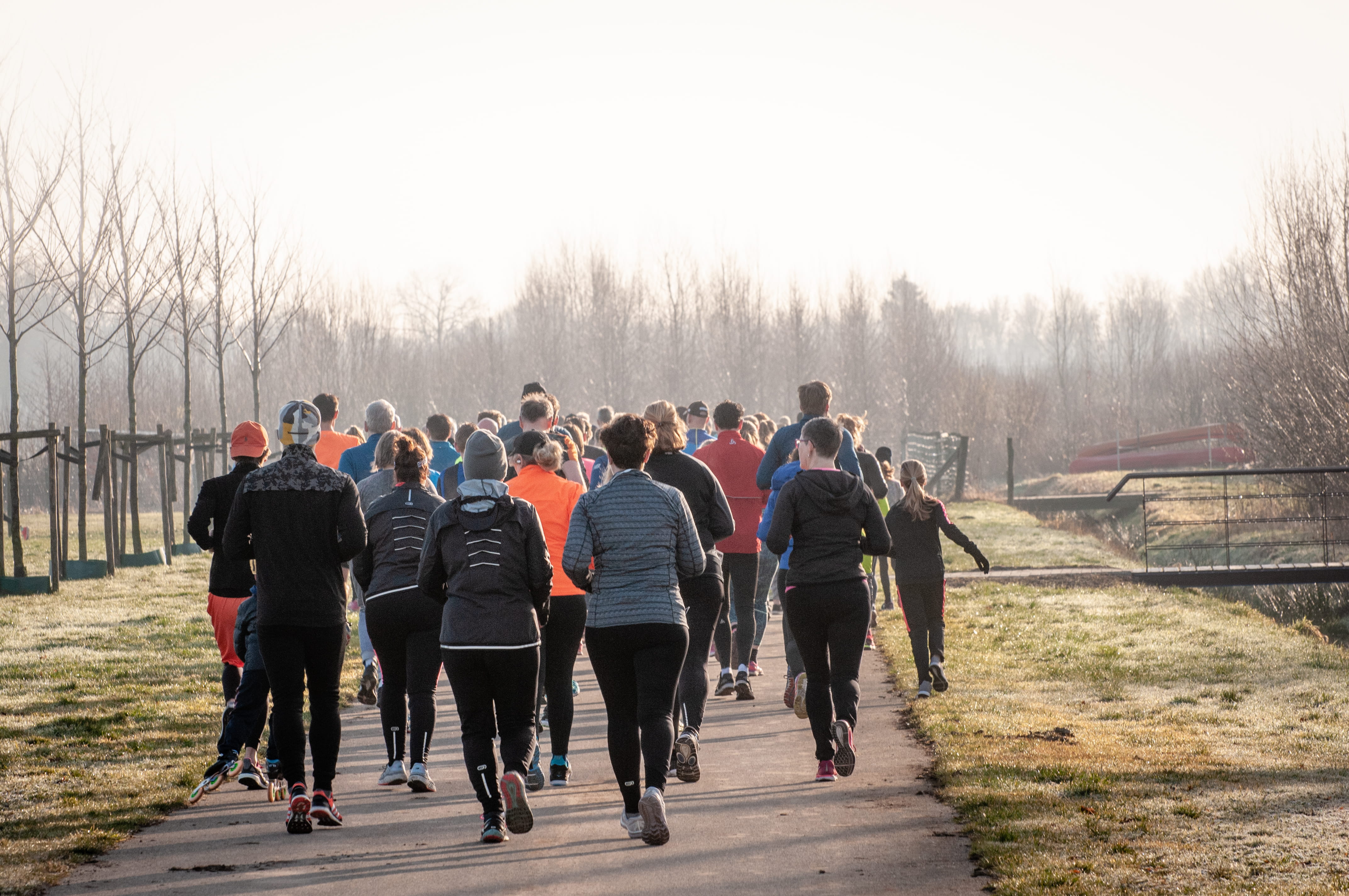 concrete, plant, footwear, tree, group of people, women, person, human, exercise, leisure activity, hardlopen, apparel, cross country, large group of people, HD Wallpaper