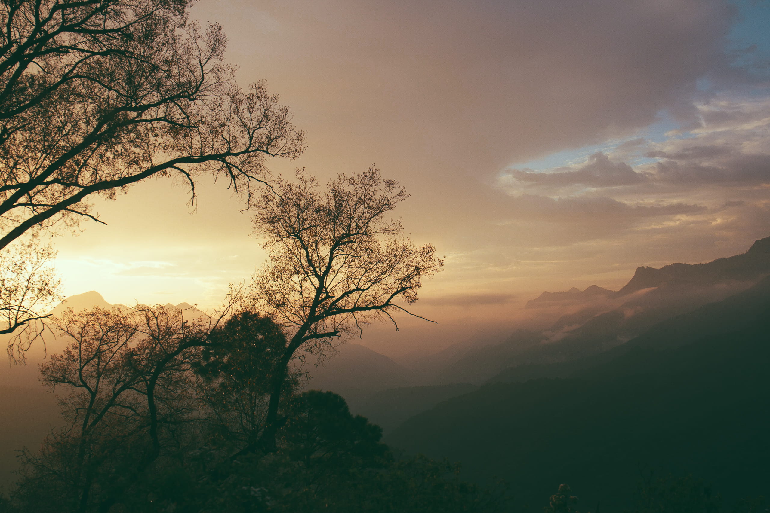 no people, sky, beauty in nature, fog, nl 20, nature, outdoors, environment, mountain, growth, tree, scenics - nature, sunset, tranquility, silhouette, HD Wallpaper
