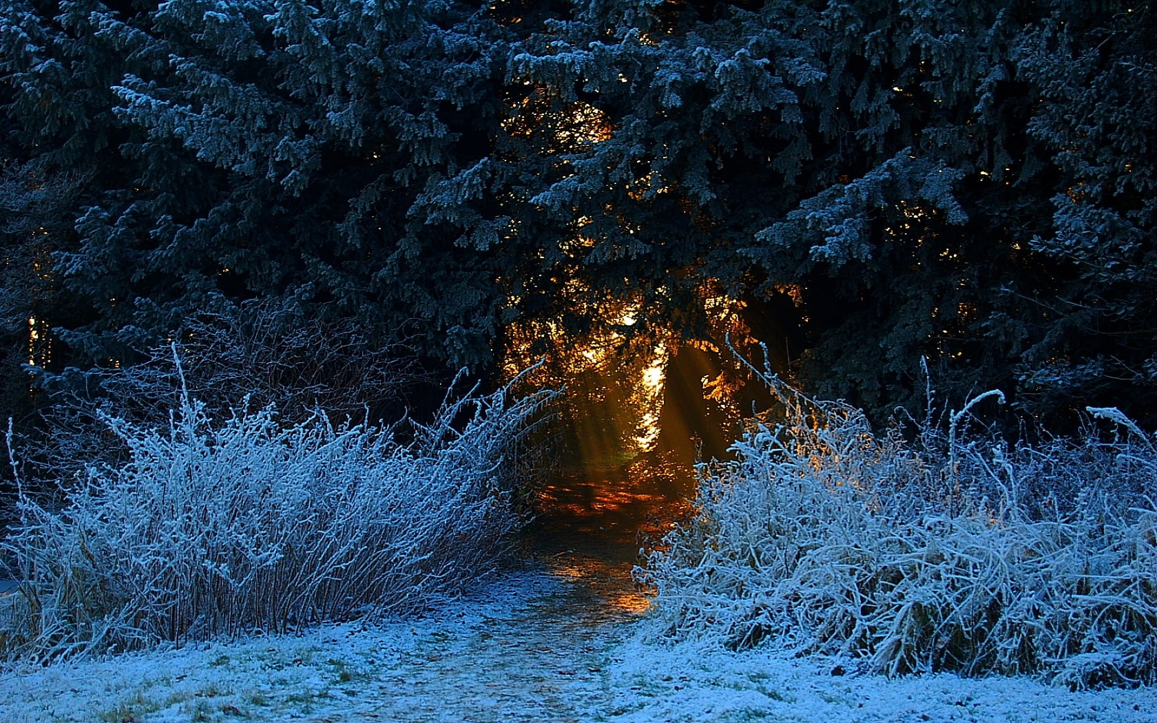 time, nl, nature, winter, art, 720P, hd, HD Wallpaper