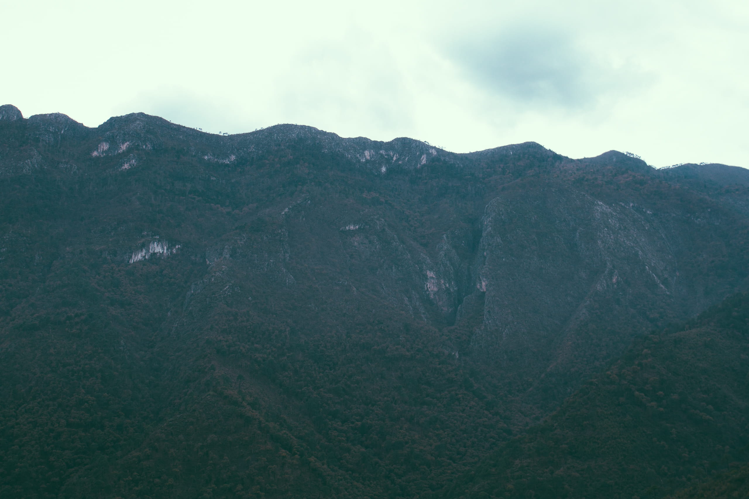 nl 20, physical geography, remote, mountain peak, day, environment, non-urban scene, mexico, 2K, mountain, green color, land, beauty in nature, sky, no people, HD Wallpaper