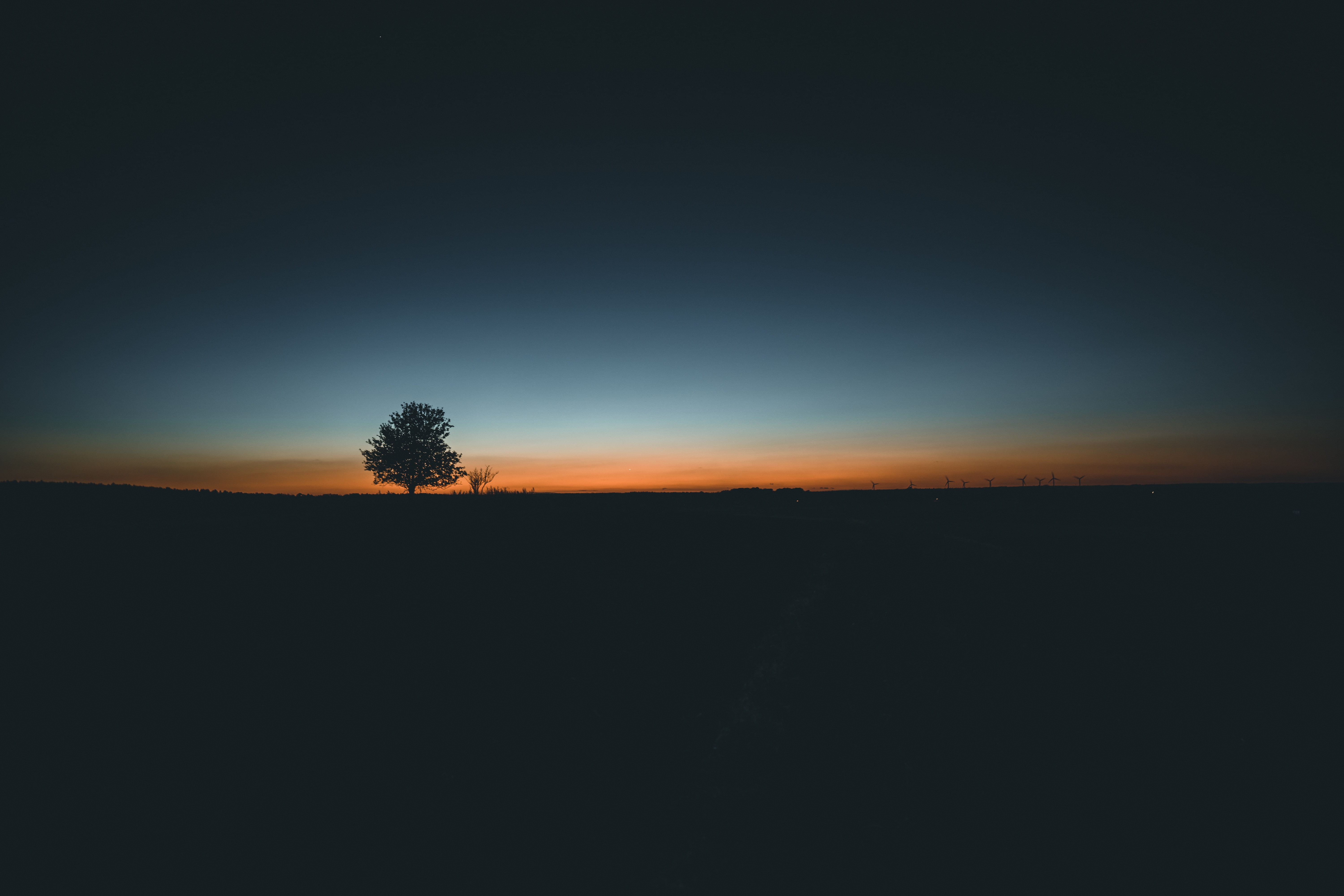 tree, dusk, plant, suns, landscape, silhouette, outdoors, daybreak, nature, horizon, dark, copy space, night, land, no people, horizon over land, beauty in nature, HD Wallpaper