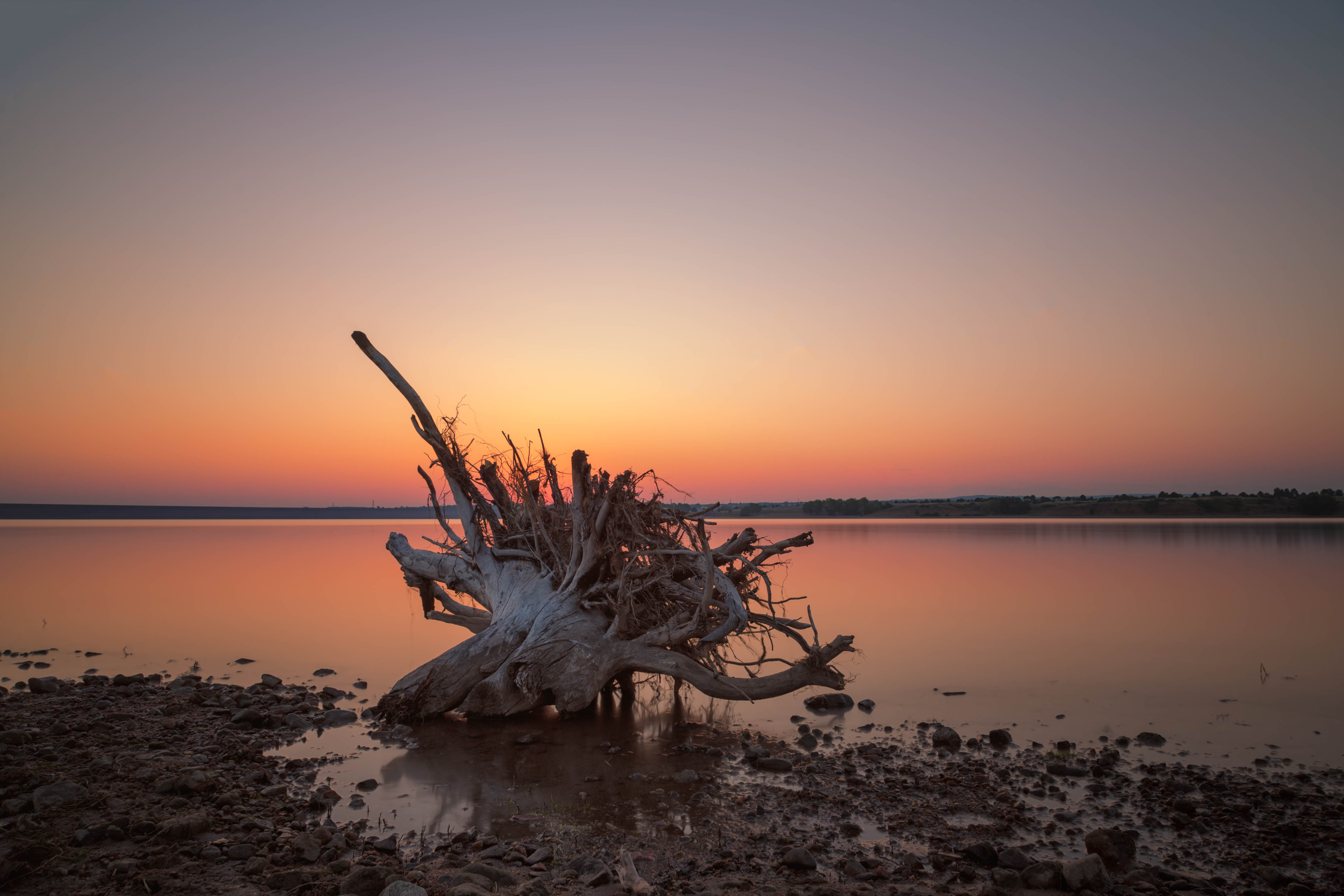 dusk, outdoors, Colorado, reflection, sky, log, waters edge, dry, LE, sunset, stump, tranquil Scene, 5K, daybreak, sunrise, dawn, lake, scenerty, driftwood  branch, HD Wallpaper