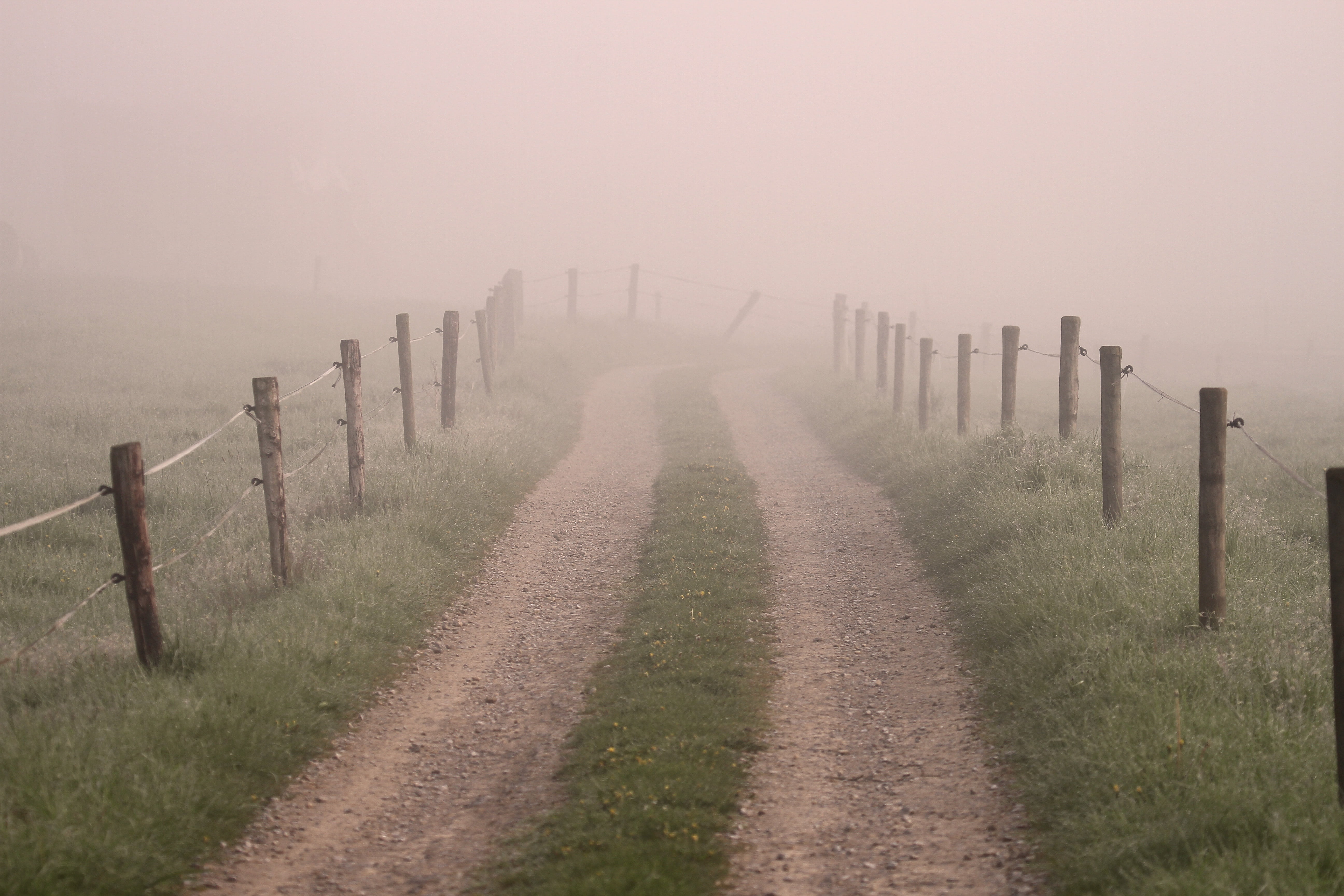post, boundary, silent, brown, wooden post, nature, mystical, dirt, foggy, direction, aimless, fog, road, field, rural Scene, mysterious, beauty in nature, HD Wallpaper