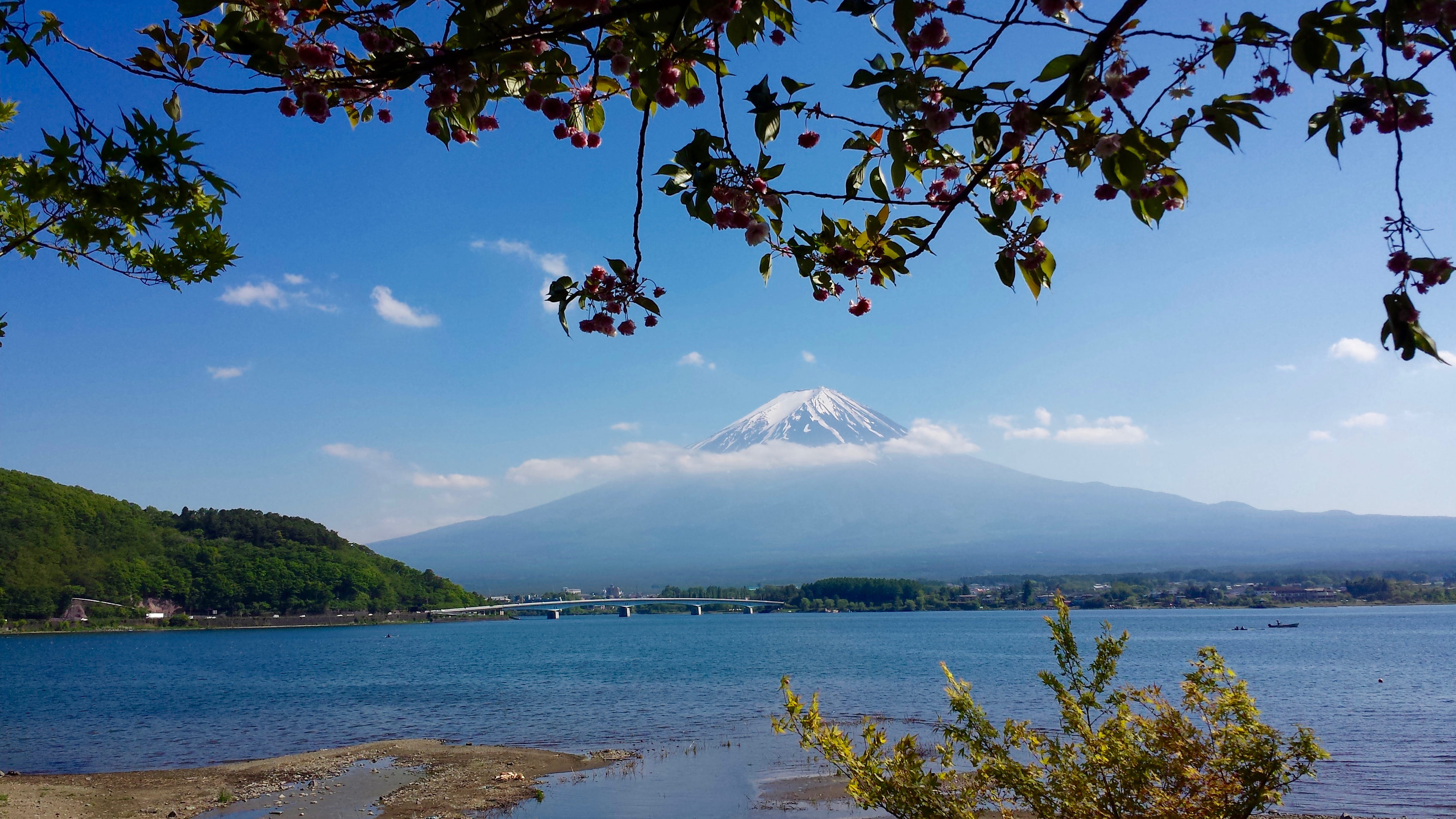 4K, plant, nature, sea, travel destinations, growth, japan, sky, scenics - nature, mountain, water, lake kawaguchi, tree, outdoors, cloud - sky, no people, HD Wallpaper