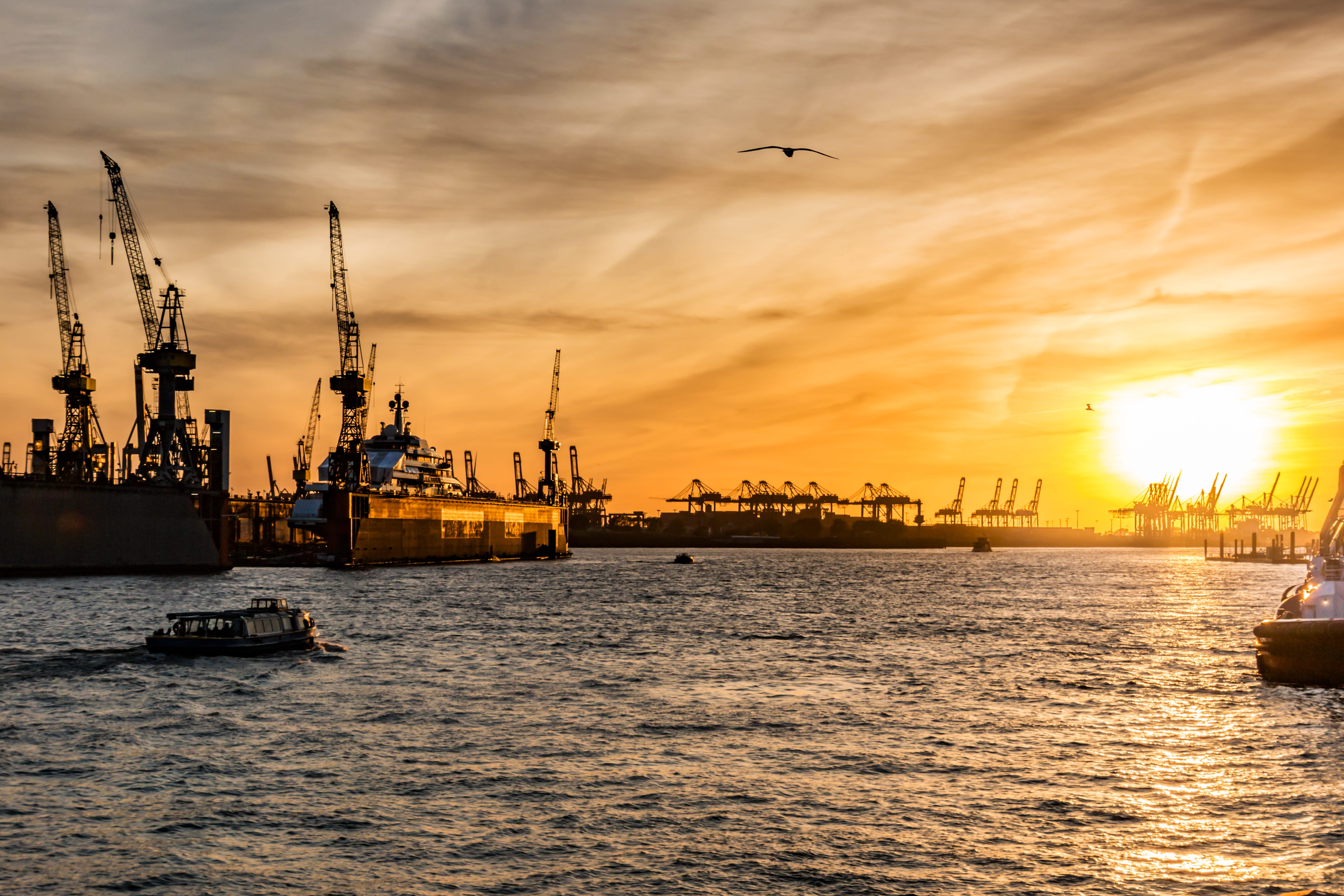 flying, architecture, no people, transport, maritime, sea, 5K, hamburg, vertebrate, crane - construction machinery, container, harbour cranes, bird, terminal, HD Wallpaper