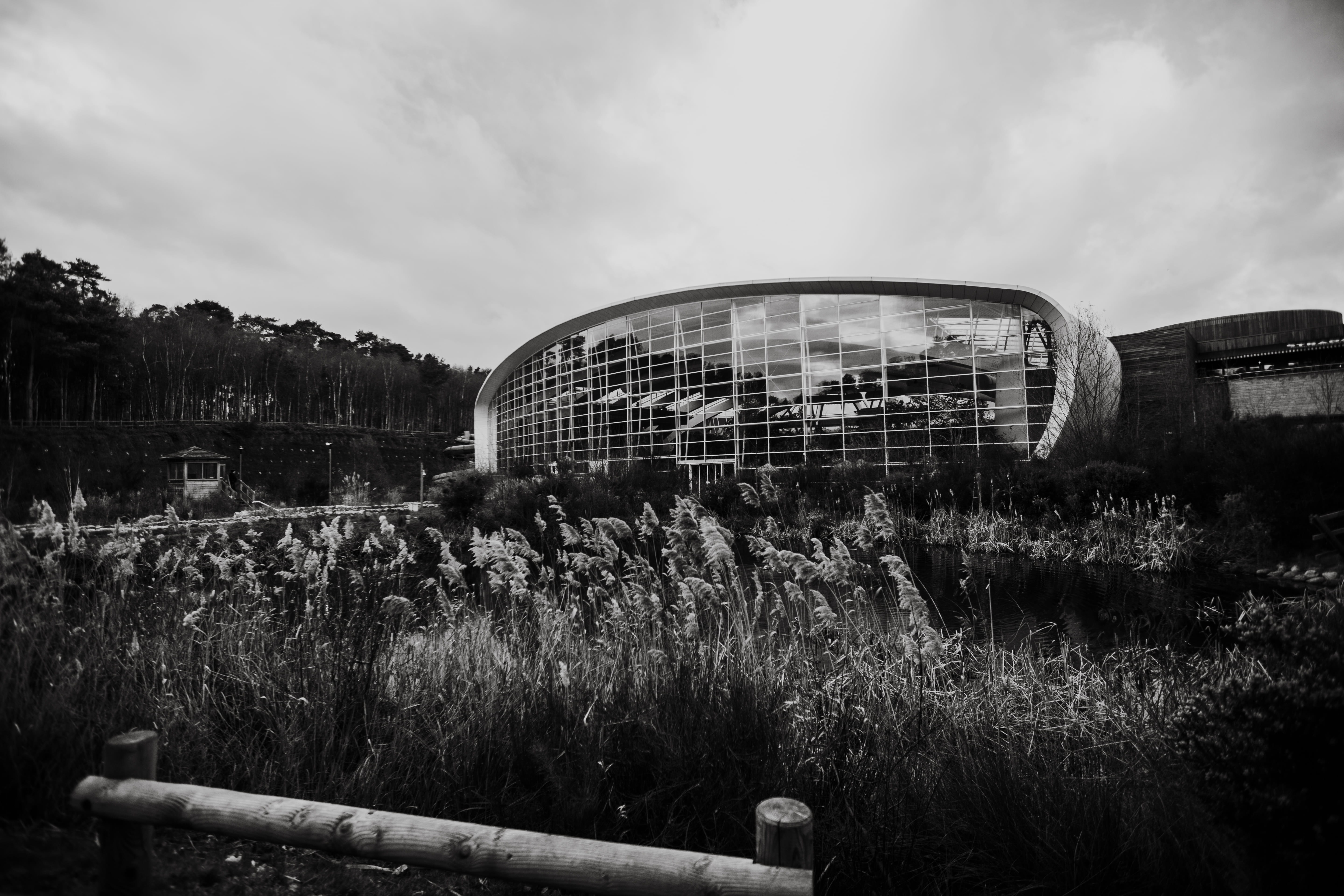 woburn, grayscale, day, flare, town, mode of transportation, light, convention center, housing, abandoned, outdoors, holiday, tree, field, buildings, downtown, HD Wallpaper