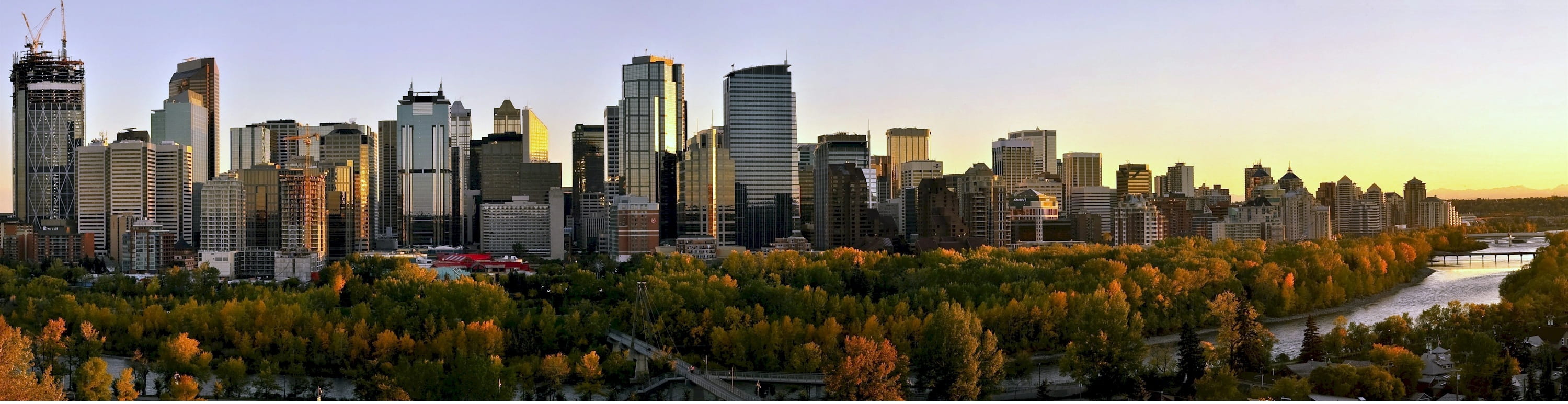 building, skyline calgary, city life, river, tree, panoramic, landscape, architecture, canada, tower, built structure, outdoors, downtown, 2K, day, modern, HD Wallpaper