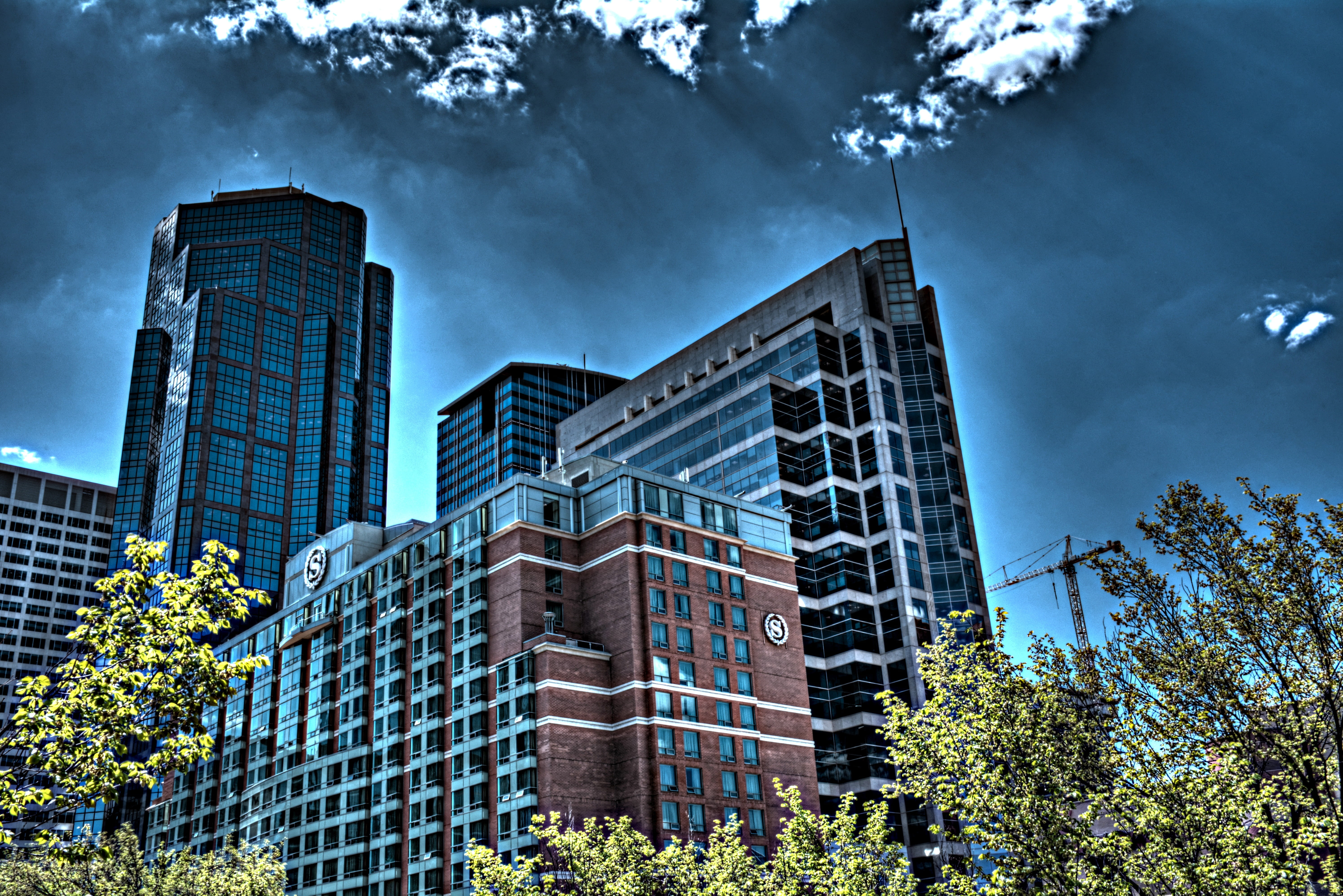 office, calgary, architecture, outdoors, plant, downtown district, residential district, low angle view, city, financial district, skyscraper, sky, landscape, HD Wallpaper