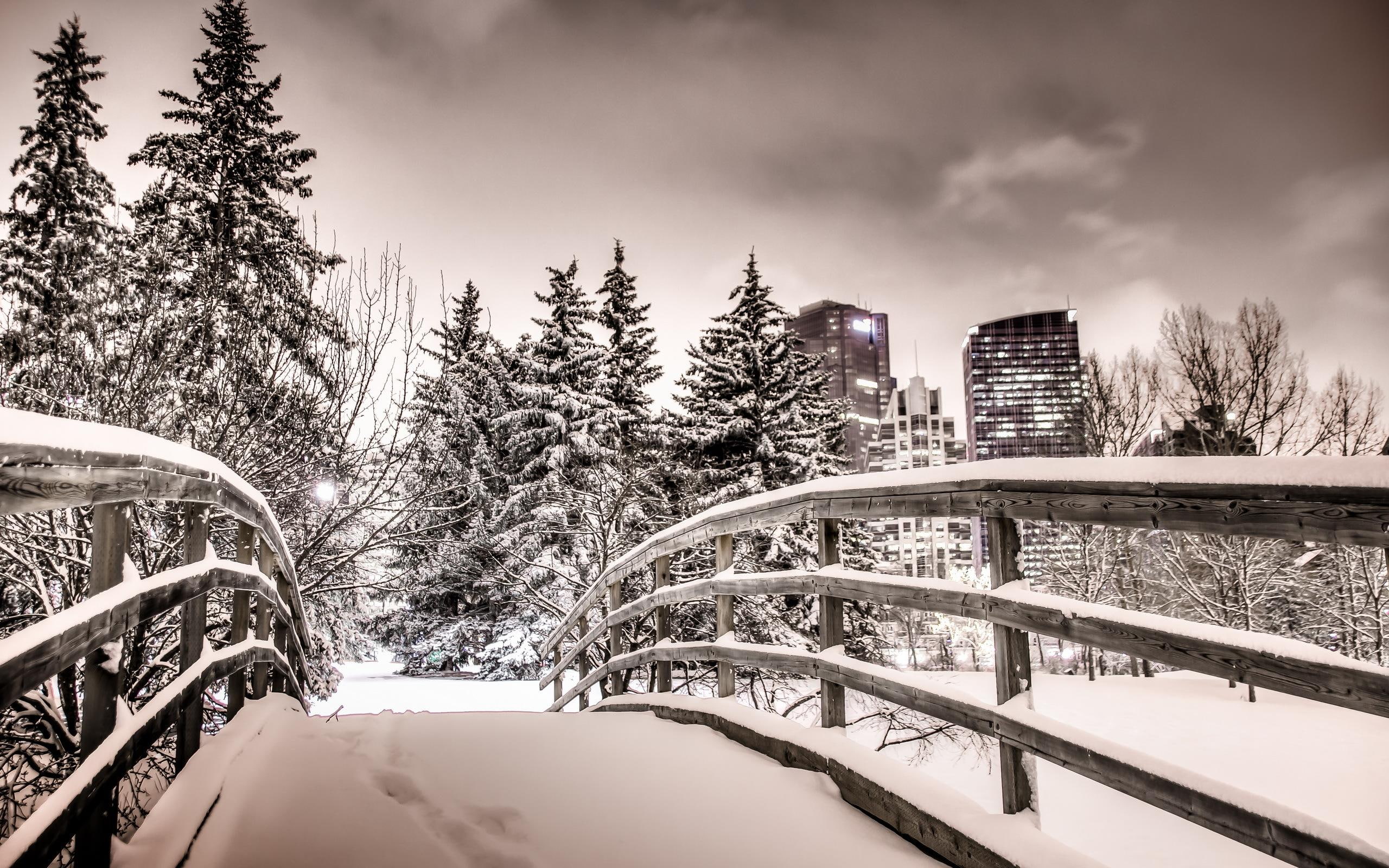 2K, calgary, nature, snow, nature and landscapes, winter, HD Wallpaper