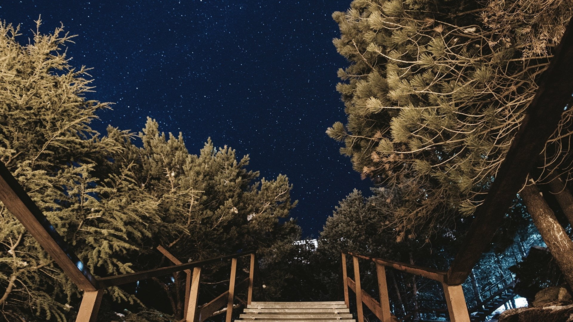 outdoors, growth, brown, starry night, star - space, stairs, winter, photography, snowing, night, architecture, low angle view, 1080P, sky, nature, astronomy, HD Wallpaper