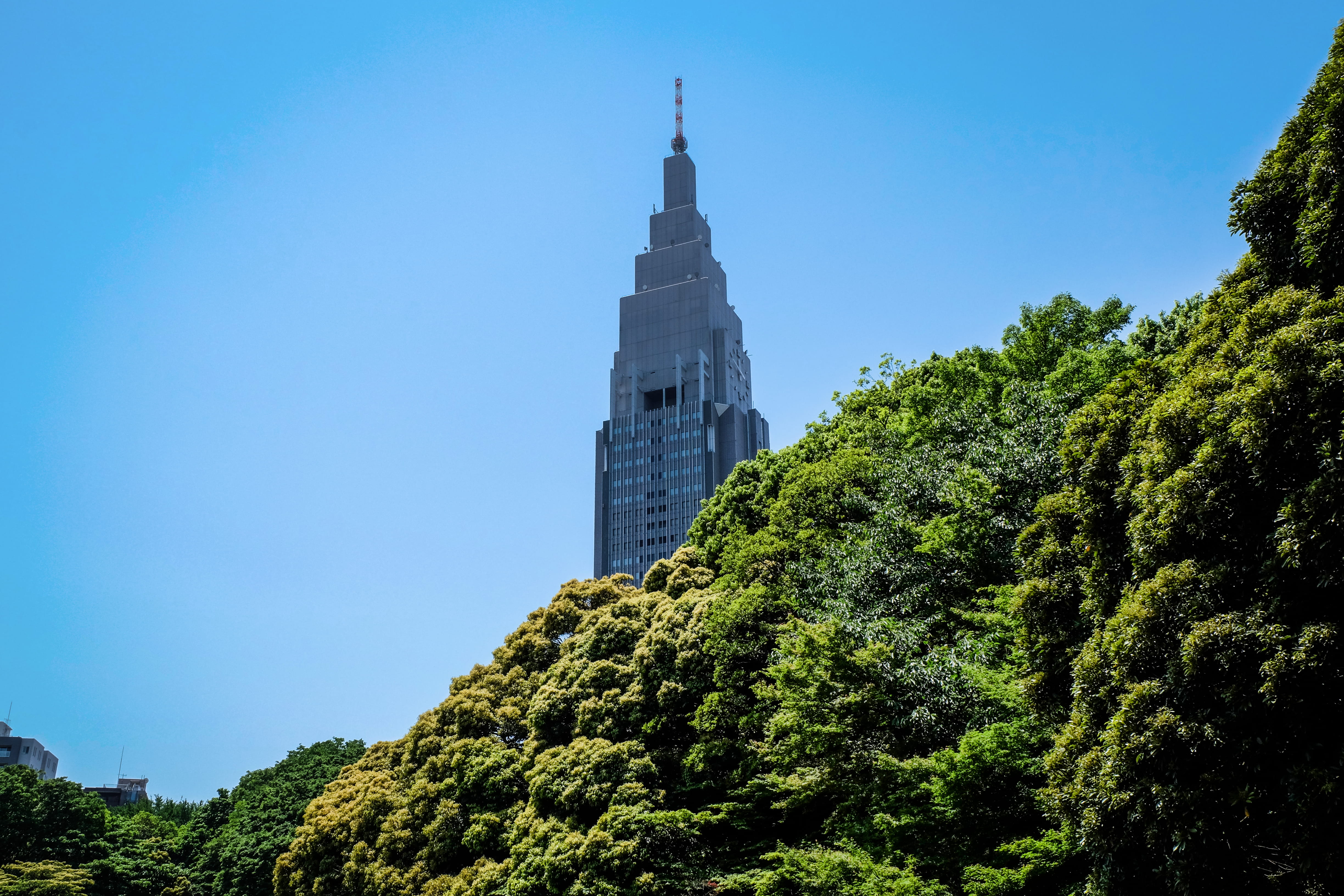 spirituality, skyscraper, blue, beauty in nature, grey, nature, building exterior, diagonal, building, shinjuku-ku, architecture, plant, tower, no people, HD Wallpaper