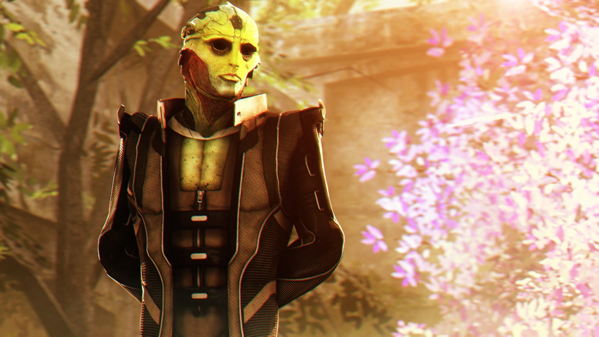 people, video games, flower, clothing, nature, front view, adult, focus on foreground, Mass Effect, fashion, three quarter length, flowering plant, outdoors, HD Wallpaper