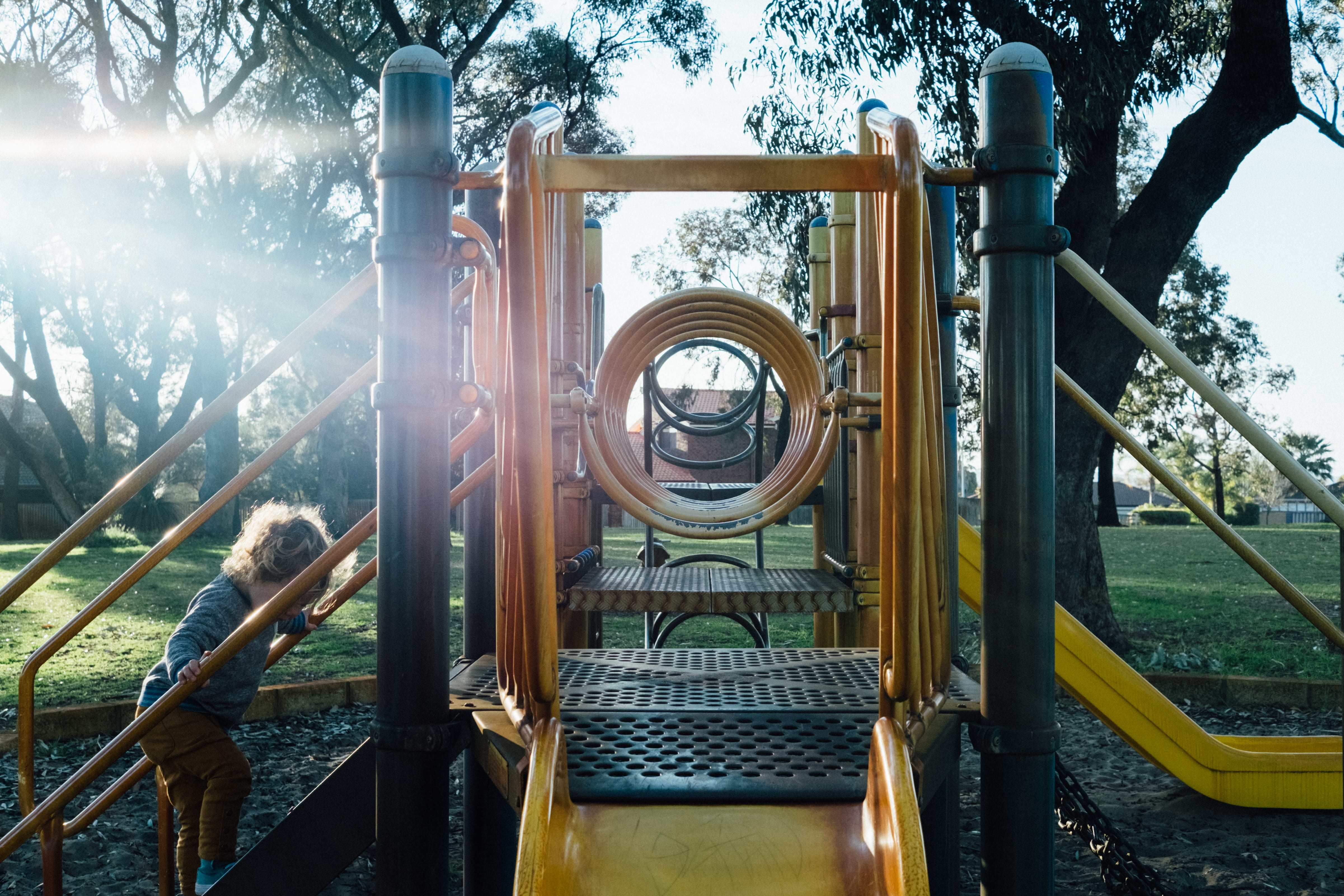 nature, jungle gym, outdoors, plant, standing, sunshine, 4K, real people, lensflare, play, toddler, leisure activity, day, metal, architecture, playground, HD Wallpaper