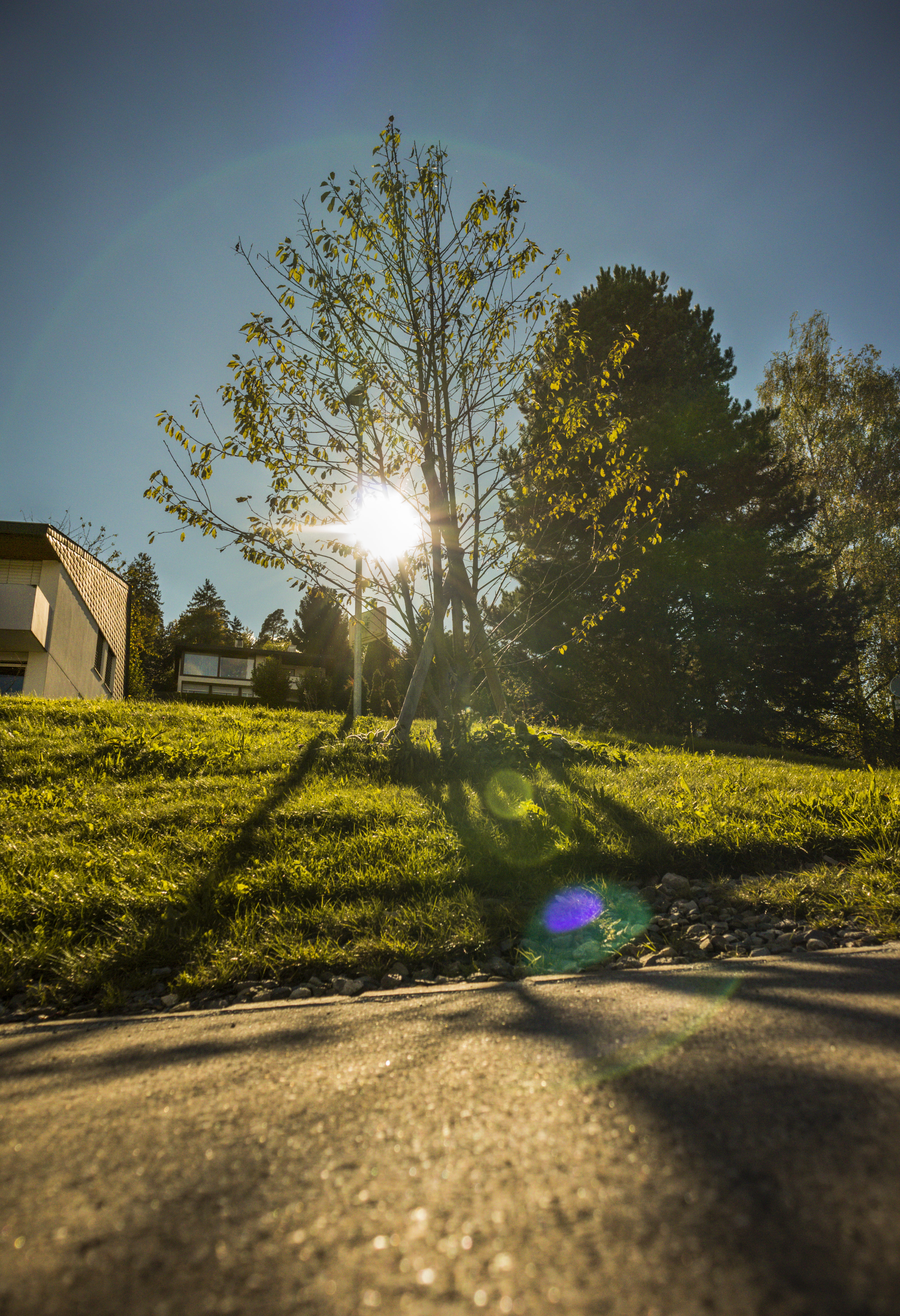 road, clear sky, no people, street, transportation, lights, snapshot, grass, bright, clearsky, nature, outside, sunbeam, killwangen, street light, sunny, Phone HD Wallpaper