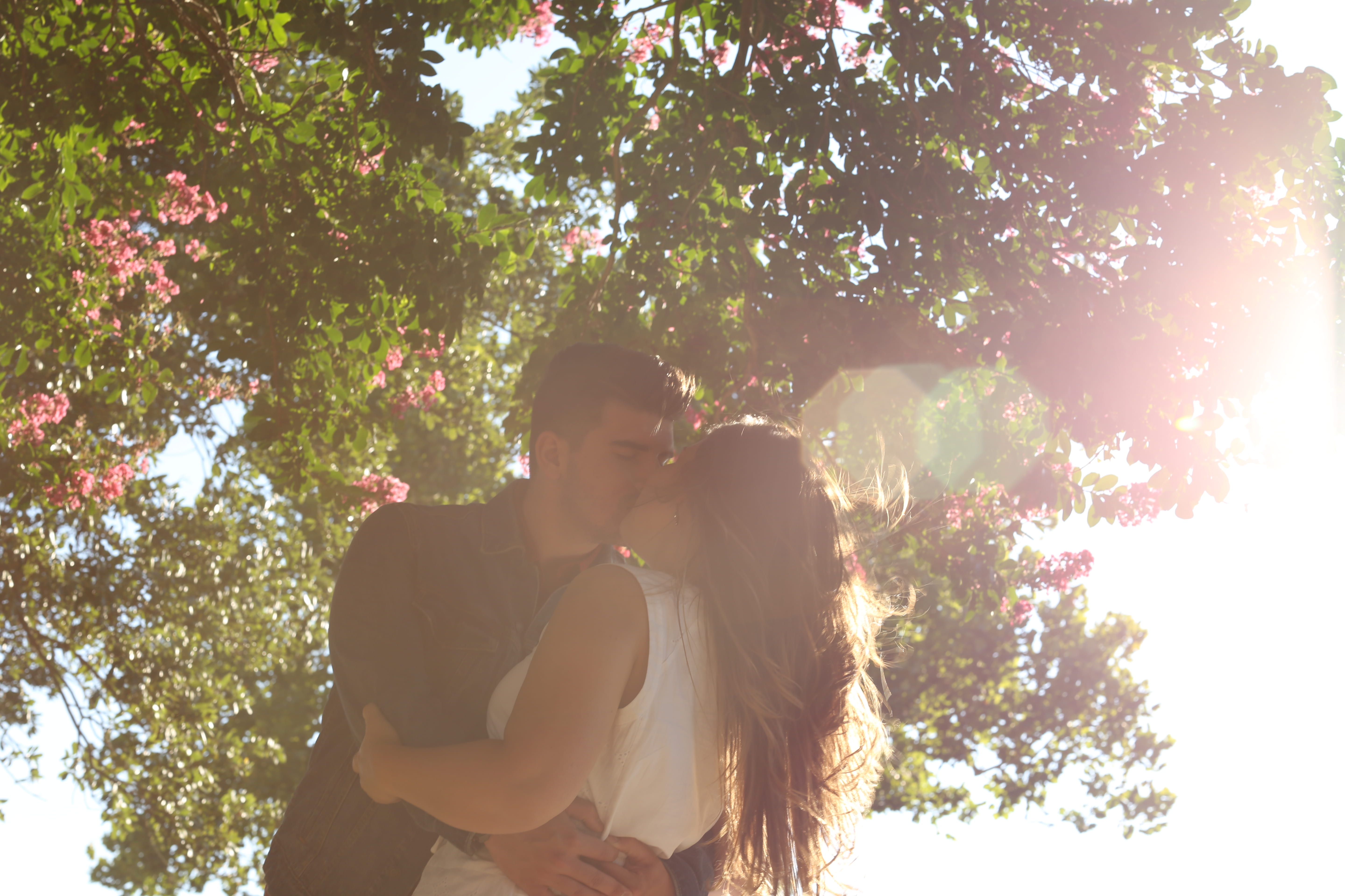 green, kissing, kiss, romance, holding, hug, positive emotion, woman, waist, man, hairstyle, spring, romantic, young adult, young women, couple, tree, two people, HD Wallpaper