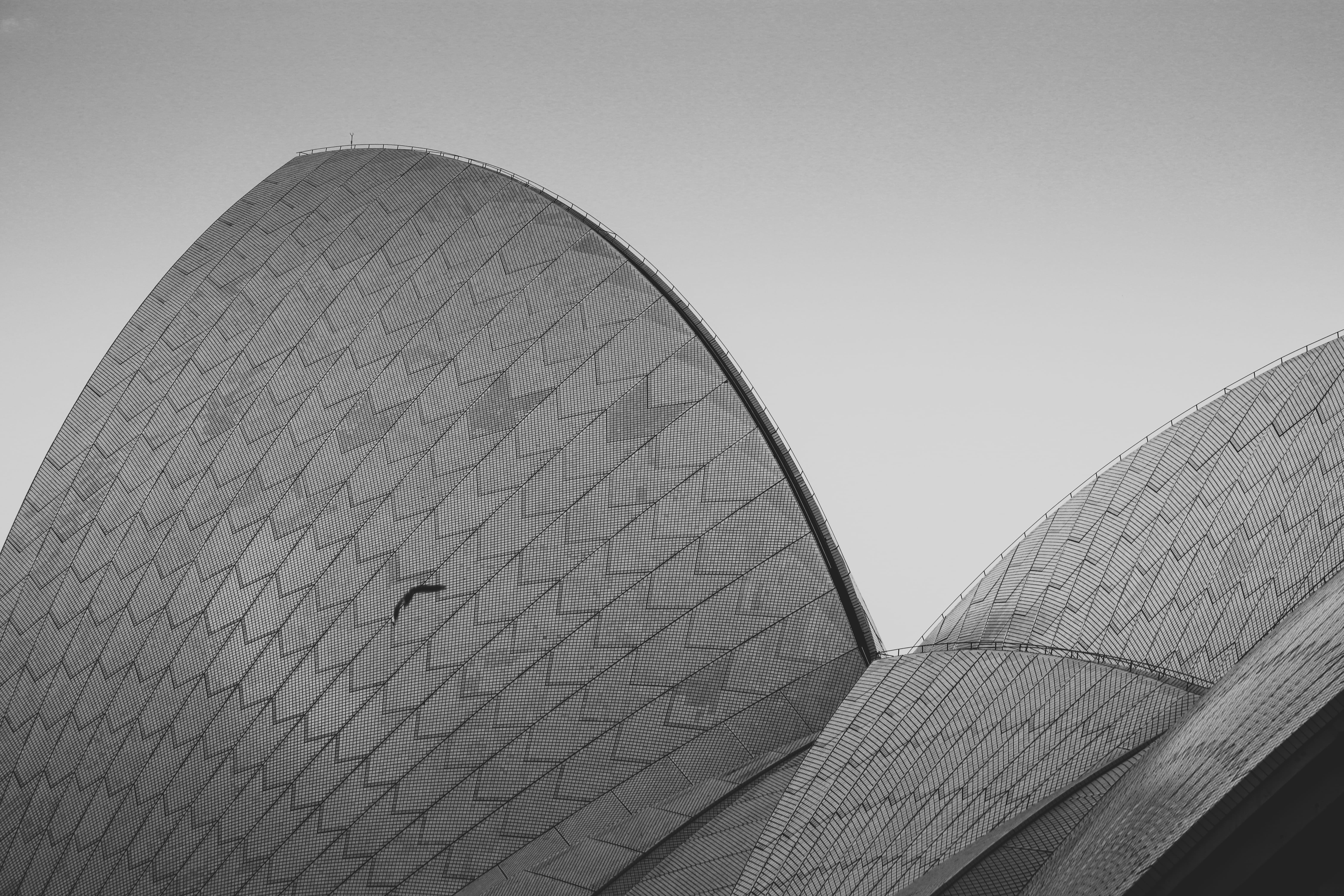 outdoors, 5K, tone, built structure, clear sky, sydney, tourism, shape, arts culture and entertainment, architecture, nature, opera, travel destinations, HD Wallpaper