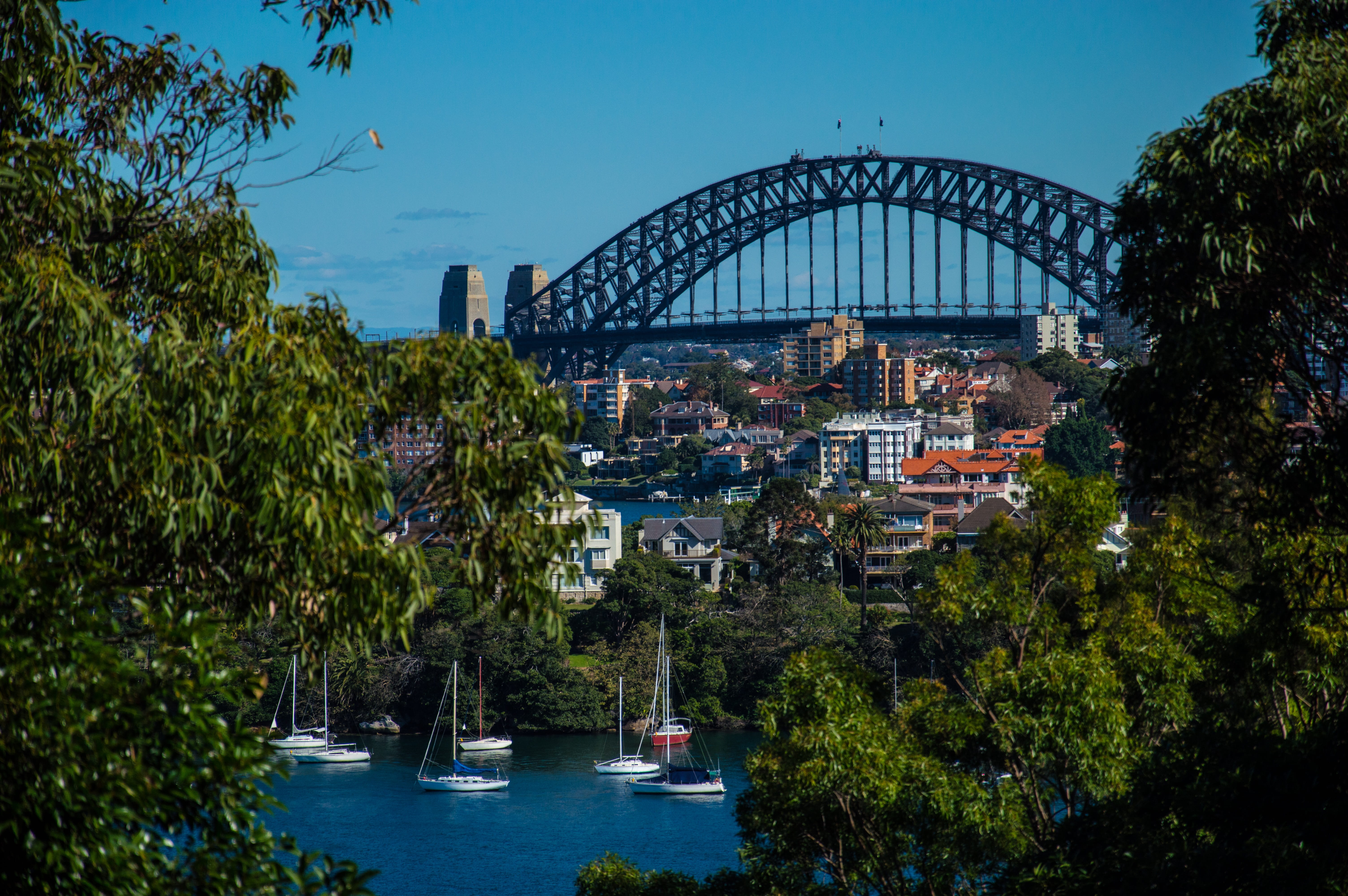 harbour, plant, connection, bridge, water, built structure, river, building exterior, arch bridge, outdoors, sydney, architecture, sky, bridge - man made structure, HD Wallpaper