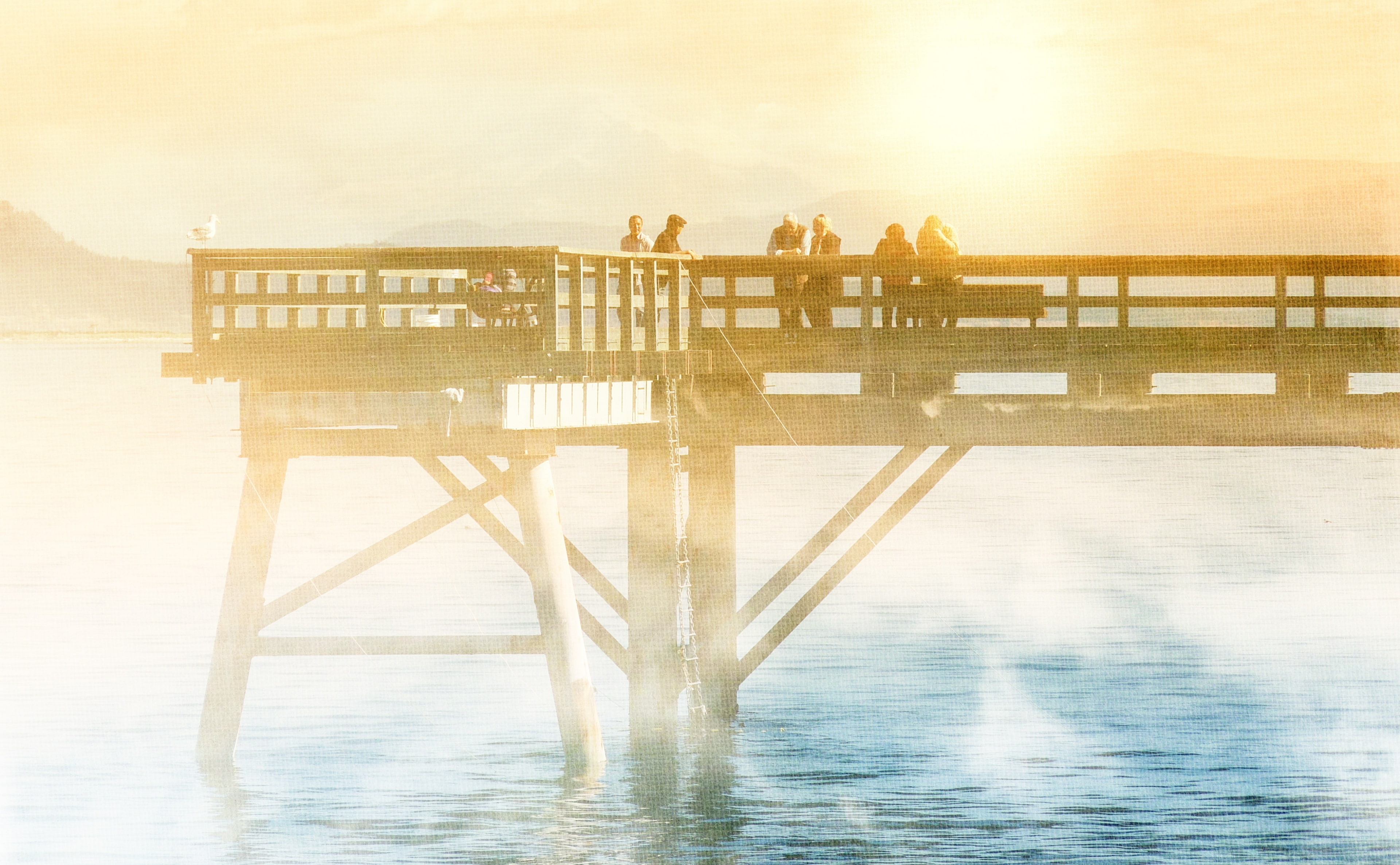 October, sea, nature, Fishing, sunlight, women, Sidney, standing, leisure activity, Canada, connection, dock, vancouverisland, scenics - nature, Pier, Vintage, HD Wallpaper