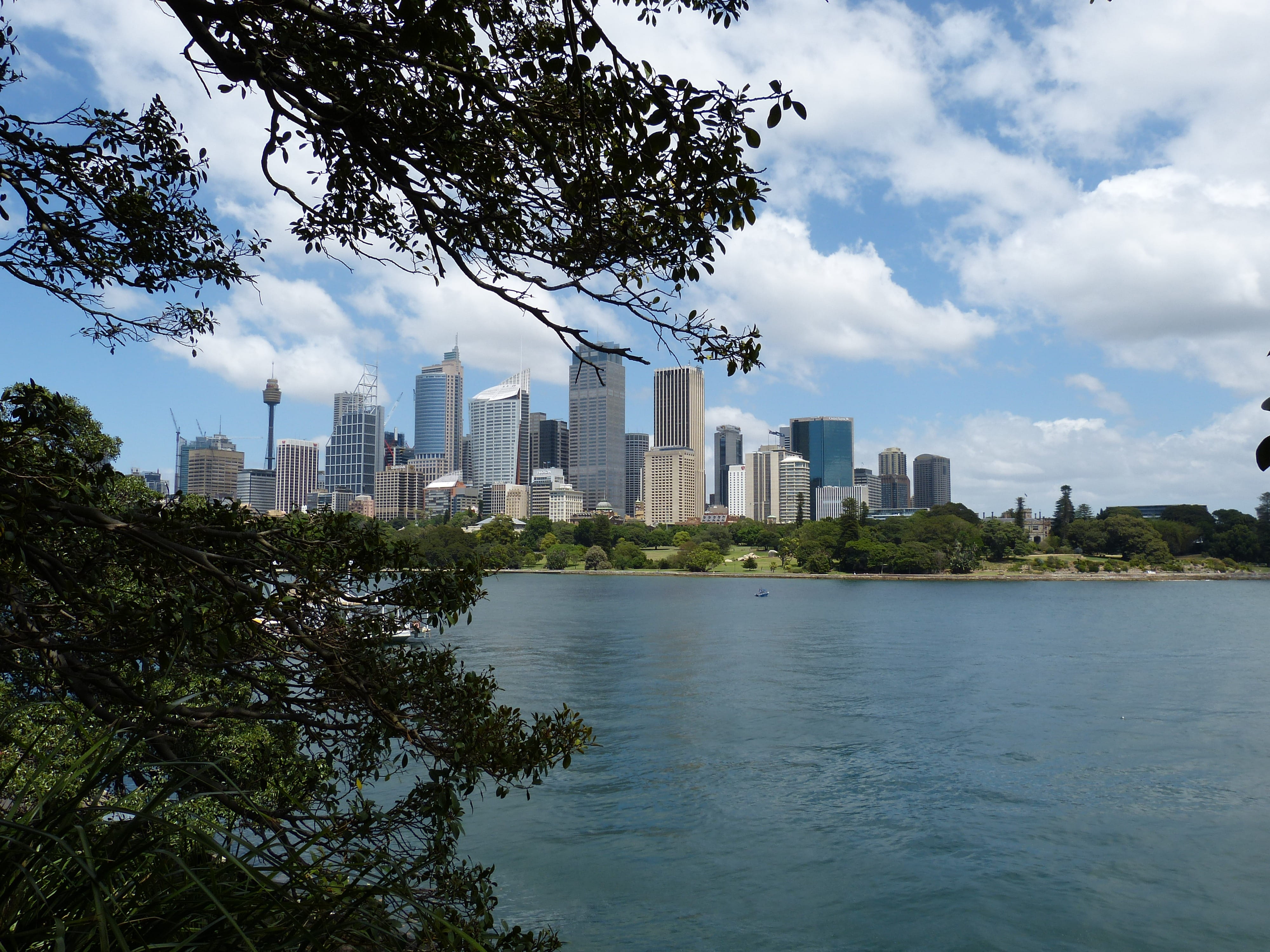 tall - high, tourism, day, financial district, modern, outdoors, cityscape, urban skyline, sidney, plant, skyscraper, nature, outlook, city, office building exterior, HD Wallpaper