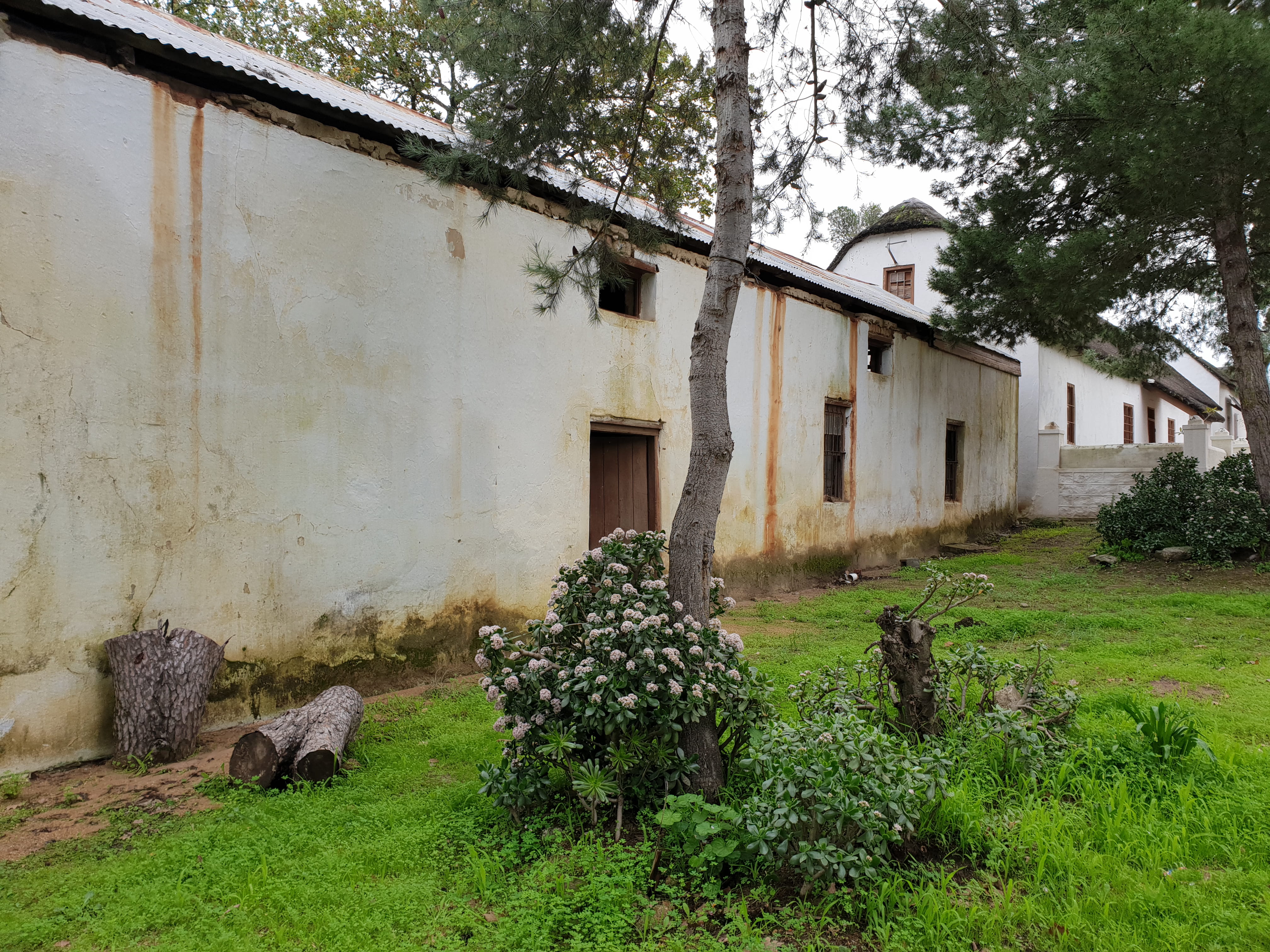 wall, 57 main rd, house, green, plant, old, architecture, no people, window, built structure, front or back yard, mammal, Mamre, ground, building, nature, HD Wallpaper