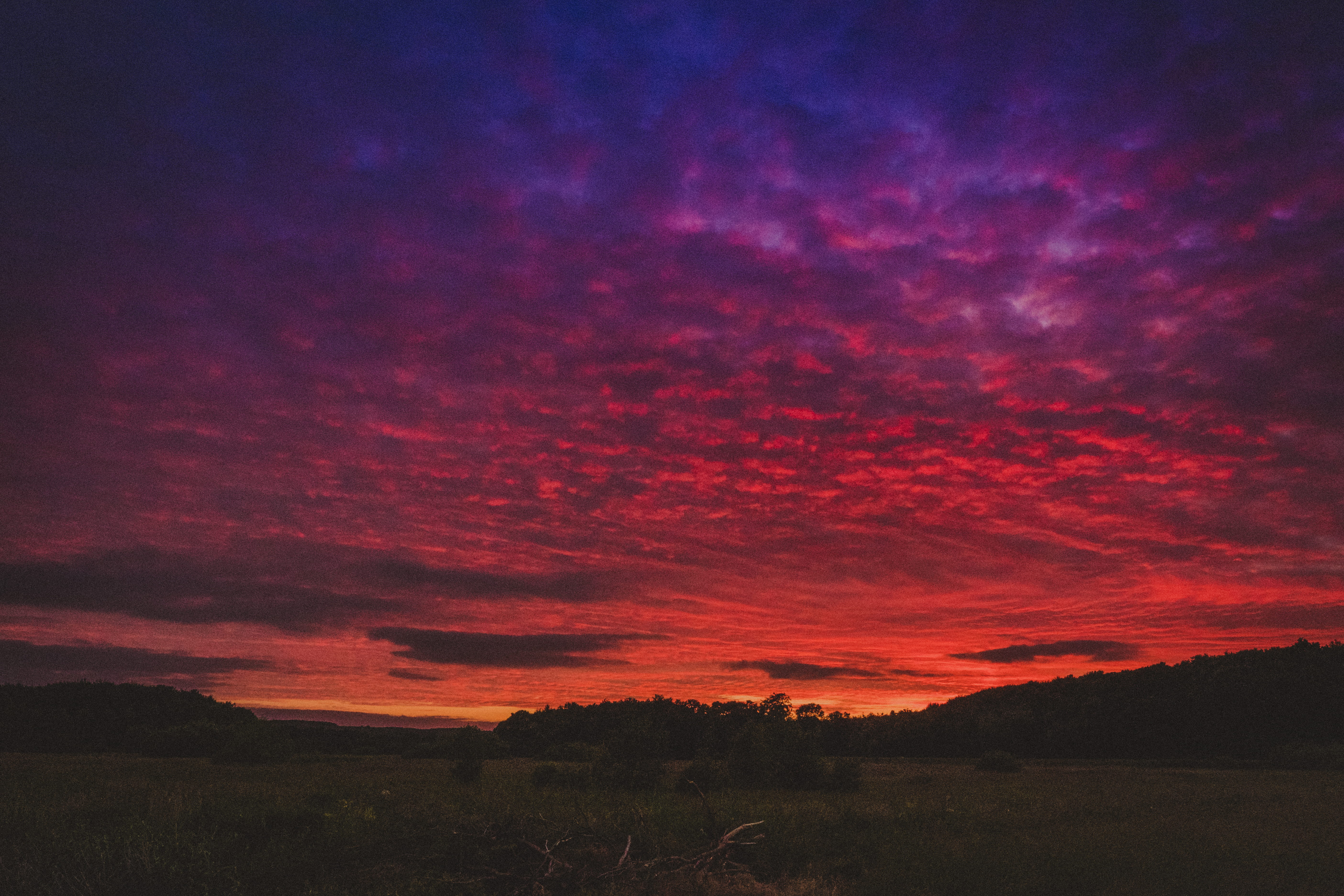 nature, space, sky, no people, astronomy, sunset, 5K, skylover, colors, trees, dramatic sky, darknes, hypebeast, night, environment, plant, tranquil scene, HD Wallpaper
