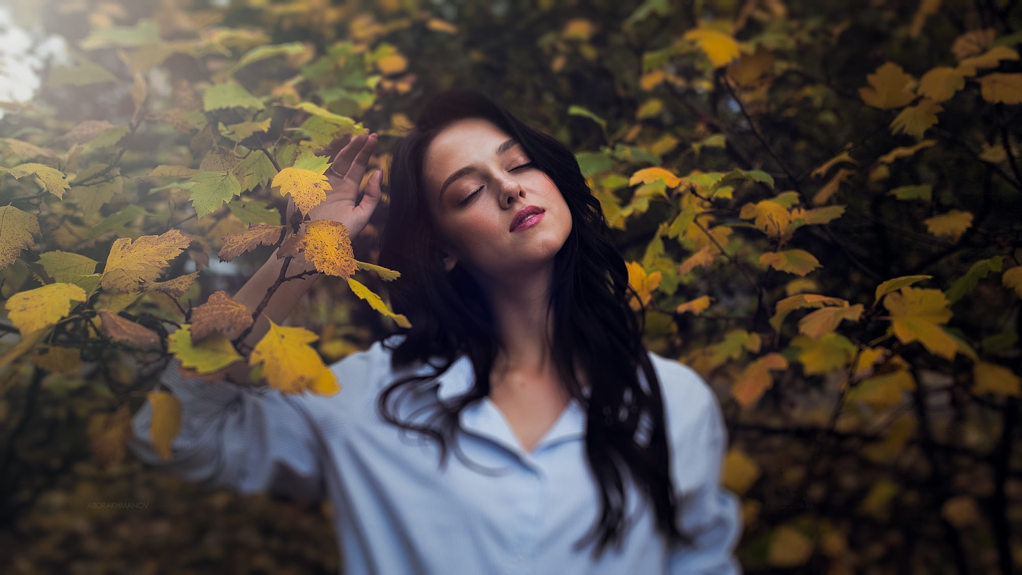 leaves, plant, hair, real people, beauty, yellow, tree, brunette, leisure activity, leaf, closed eyes, long hair, bokeh, fall, focus on foreground, hairstyle, HD Wallpaper