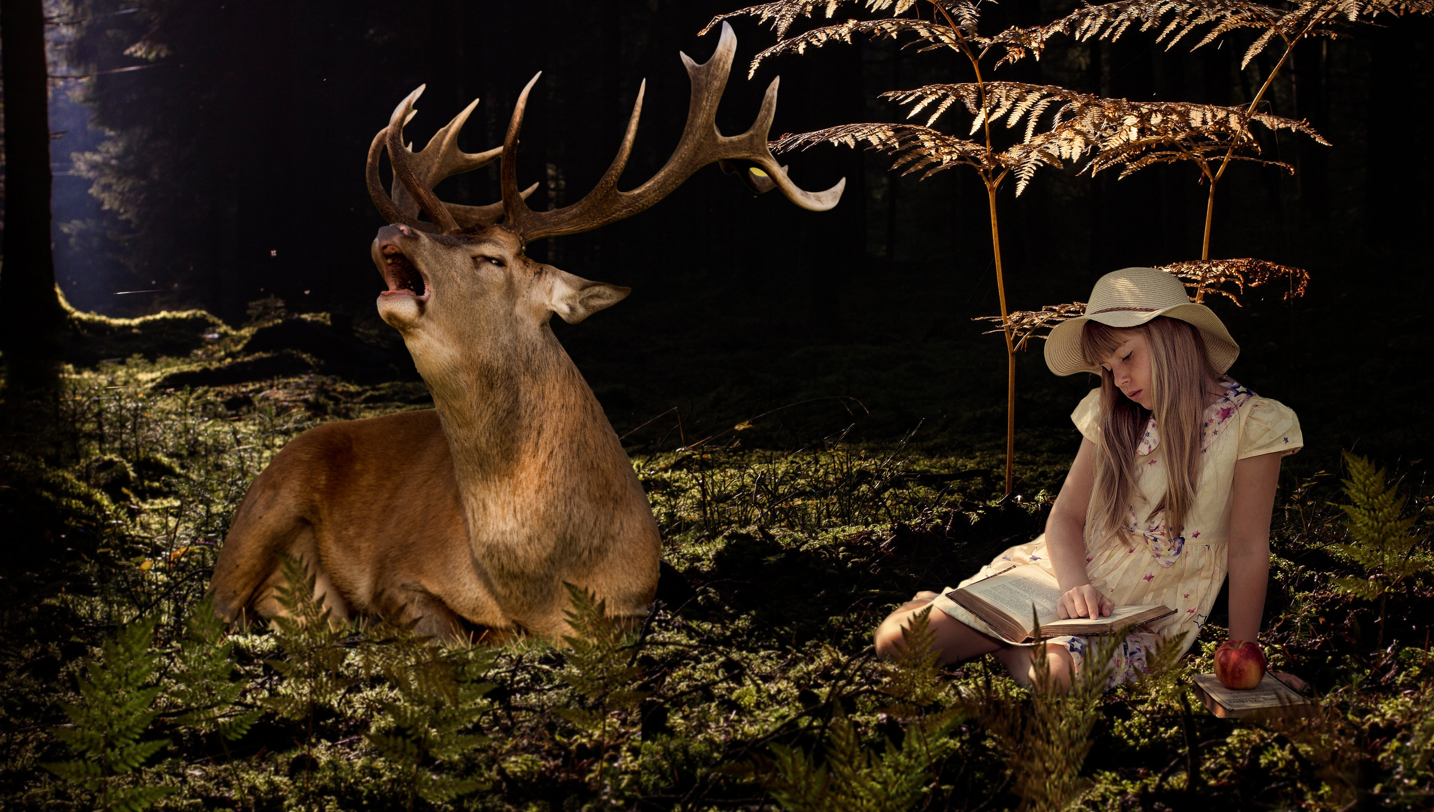 plant, animal wildlife, hat, antler, sitting, wearing, buck, mammal, looking, hair, girl, near, wood, nature, beside, deer, outdoors, people, women, contemplation, HD Wallpaper