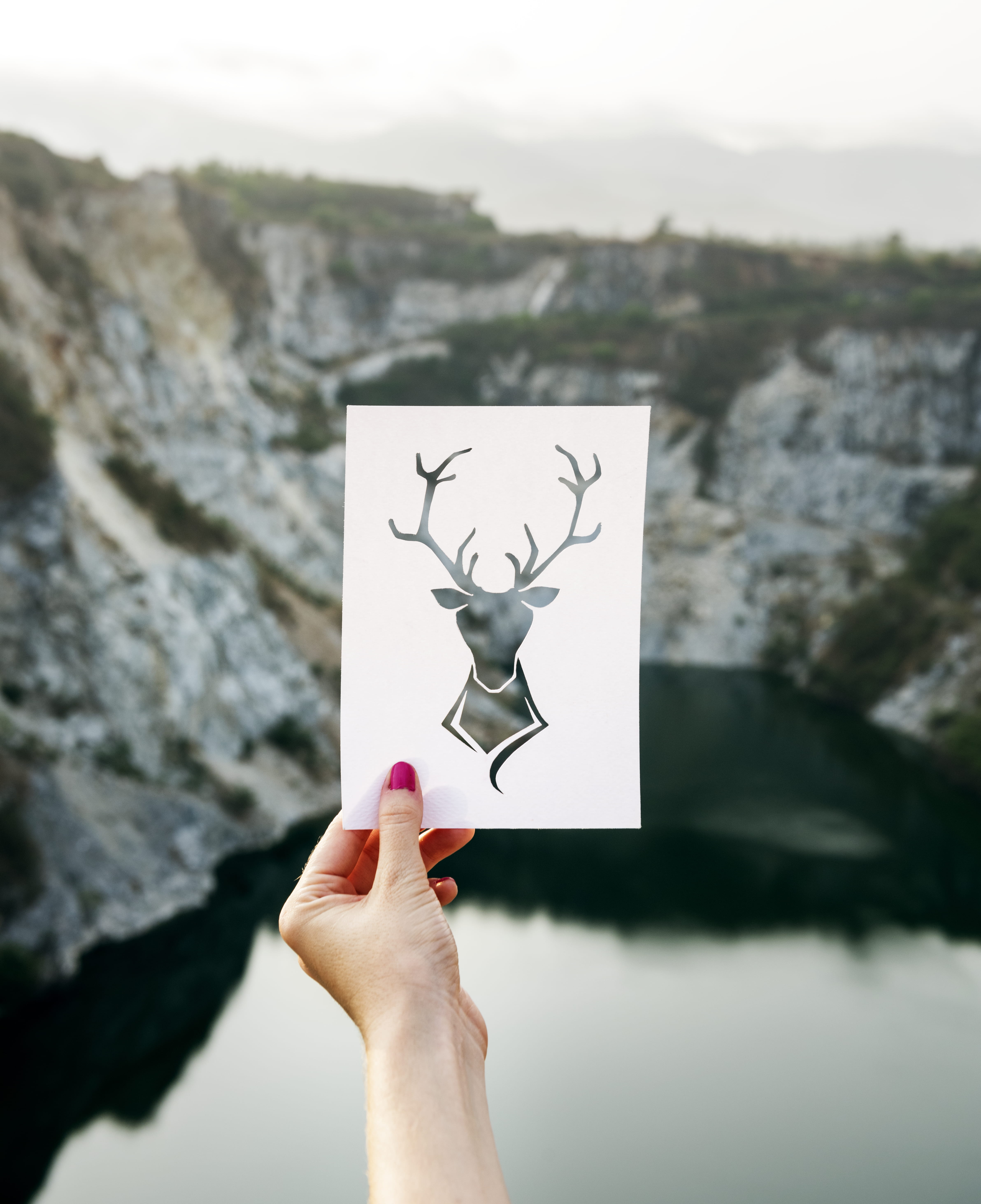 caucasian, focus on foreground, holding, creativity, lifestyles, stag, picture, human hand, real people, leisure activity, art, nails, front, day, human body part, Phone HD Wallpaper