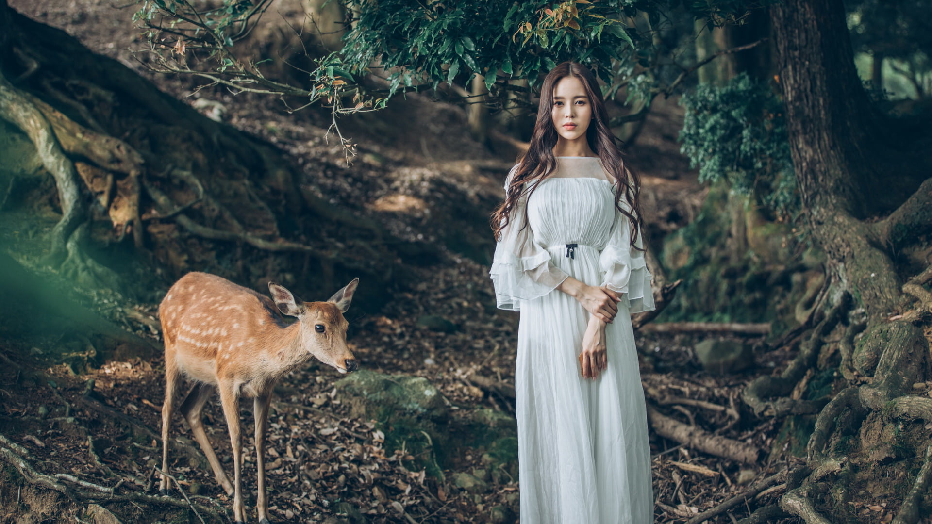 Model, Brunette, Women, 1080P, Woman, Girl, Long Hair, Deer, Asian, White Dress, HD Wallpaper