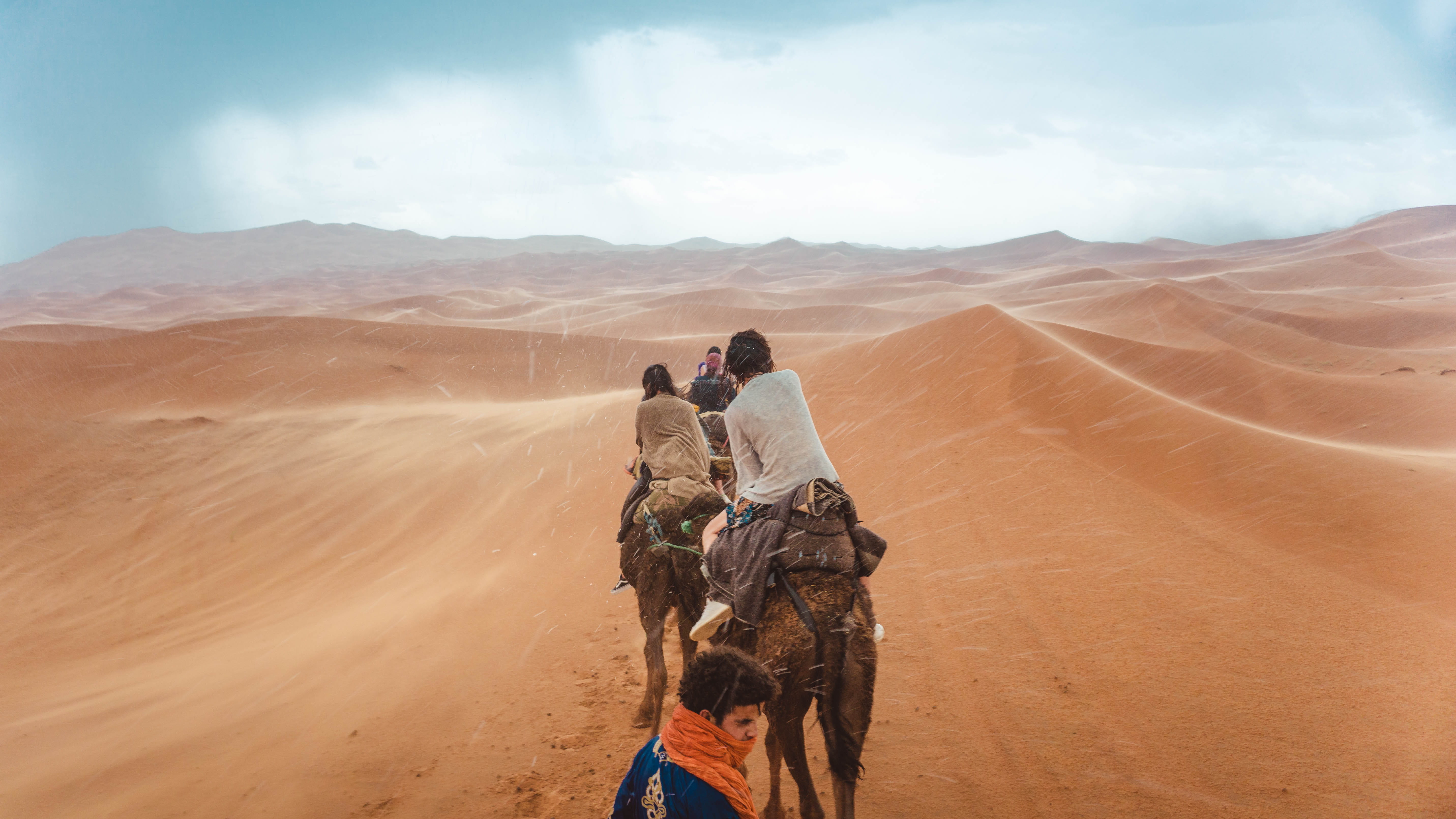 beauty in nature, climate, scenics - nature, desert, rear view, cloud - sky, 5K, domestic, sahara, marrakech, camels, mammal, morocco, land, rain, adventure, HD Wallpaper