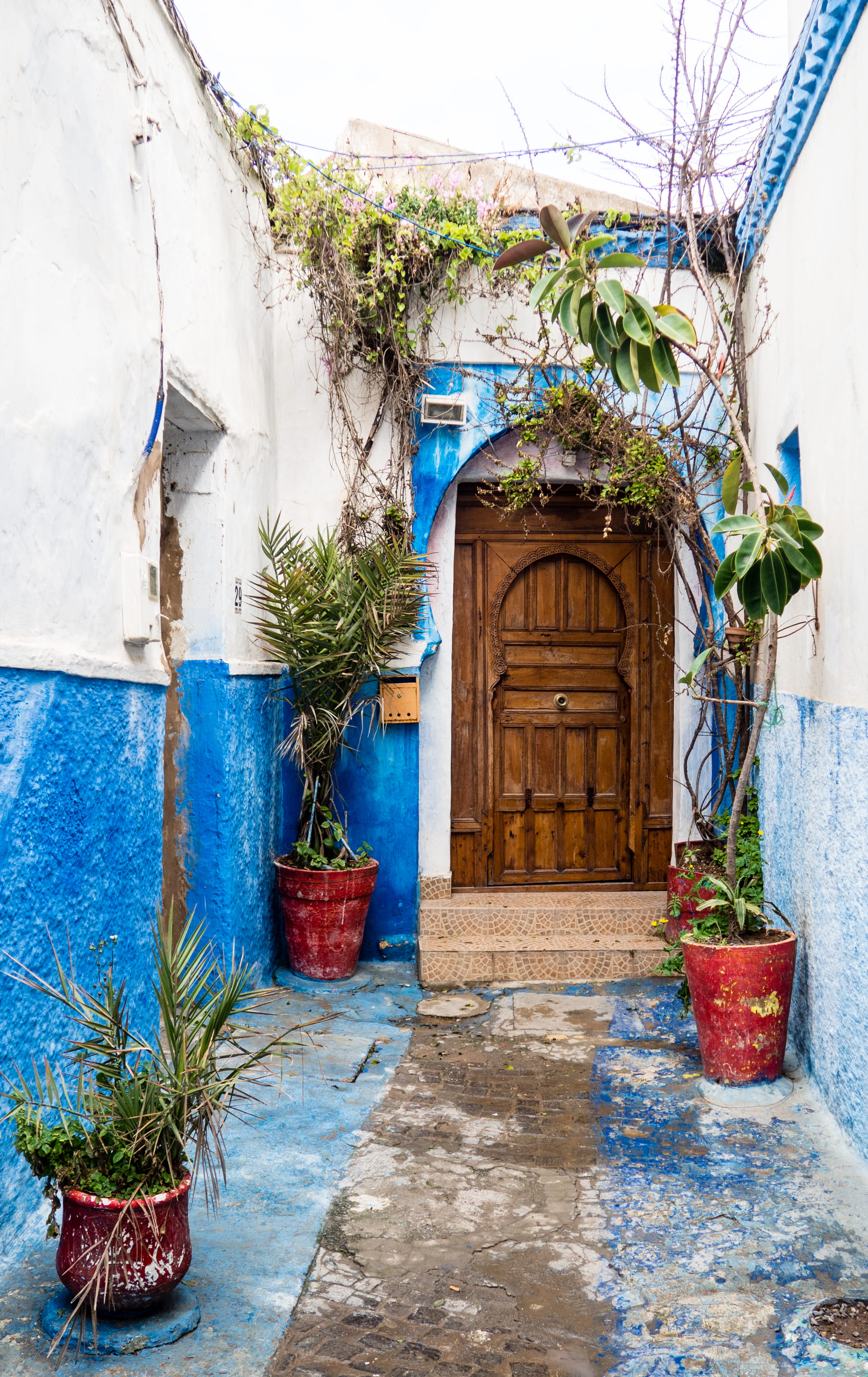 wall - building feature, pottery, tree, house, growth, nature, outdoors, day, arch, blue, wood, no people, door, leafed, green, built structure, near, residential district, Phone HD Wallpaper