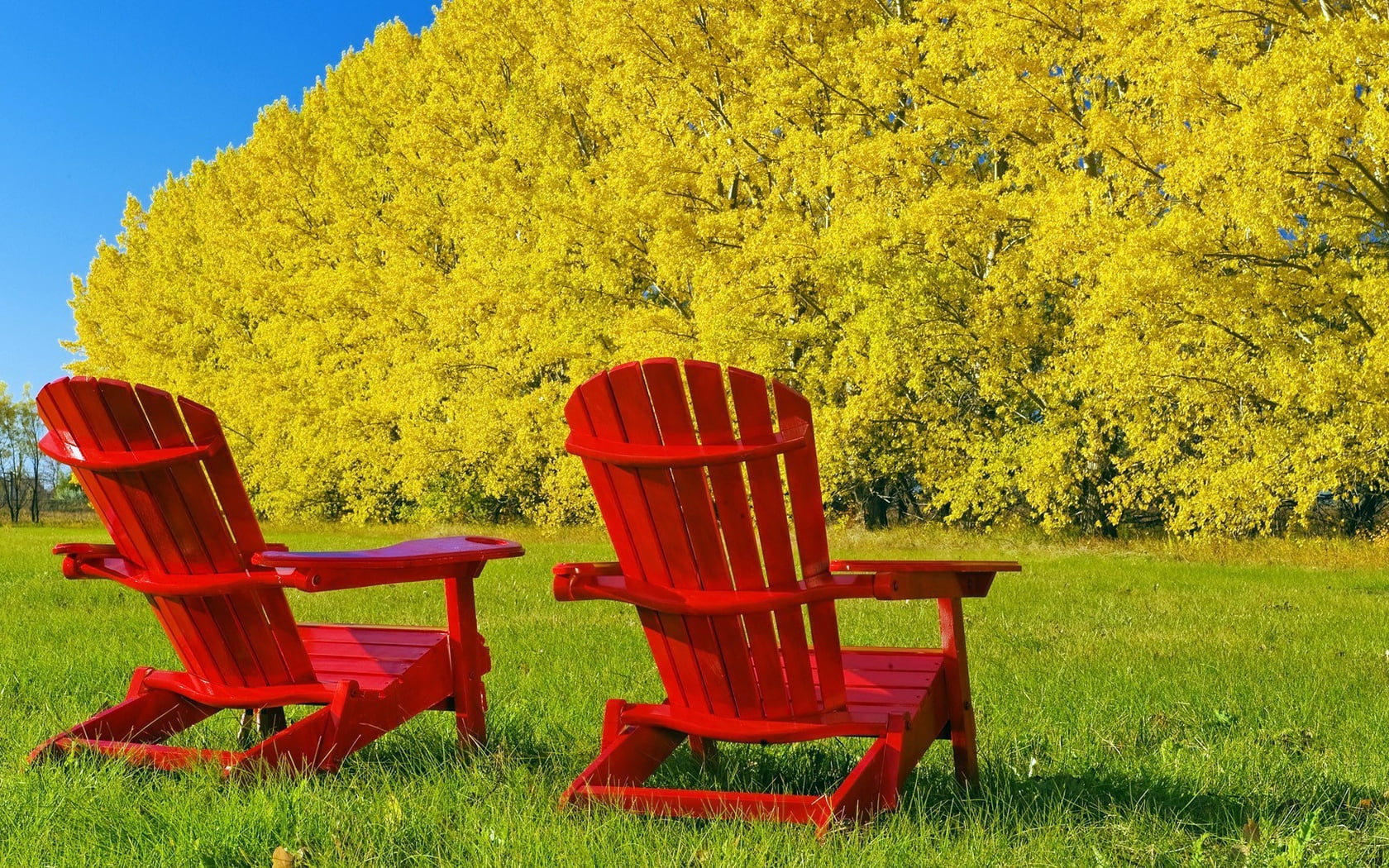 blue, wood - Material, nature, empty, summer, relaxation, formal Garden, outdoors, chair, tranquility, table, no People, grass, flower, green Color, 720P, HD Wallpaper