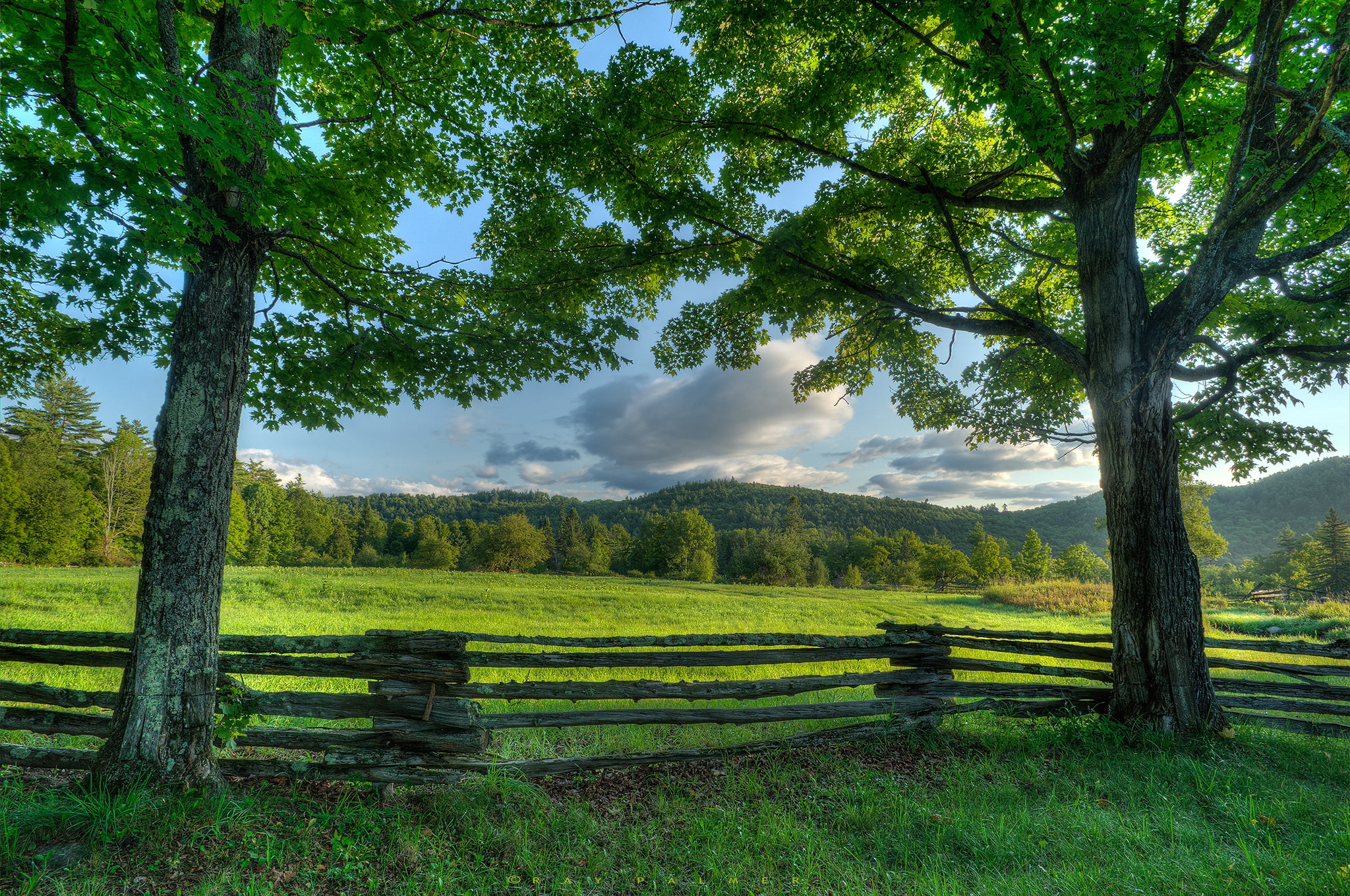 Adirondack, trees, the fence, meadow, the state of new York, New York, 1080P, HD Wallpaper