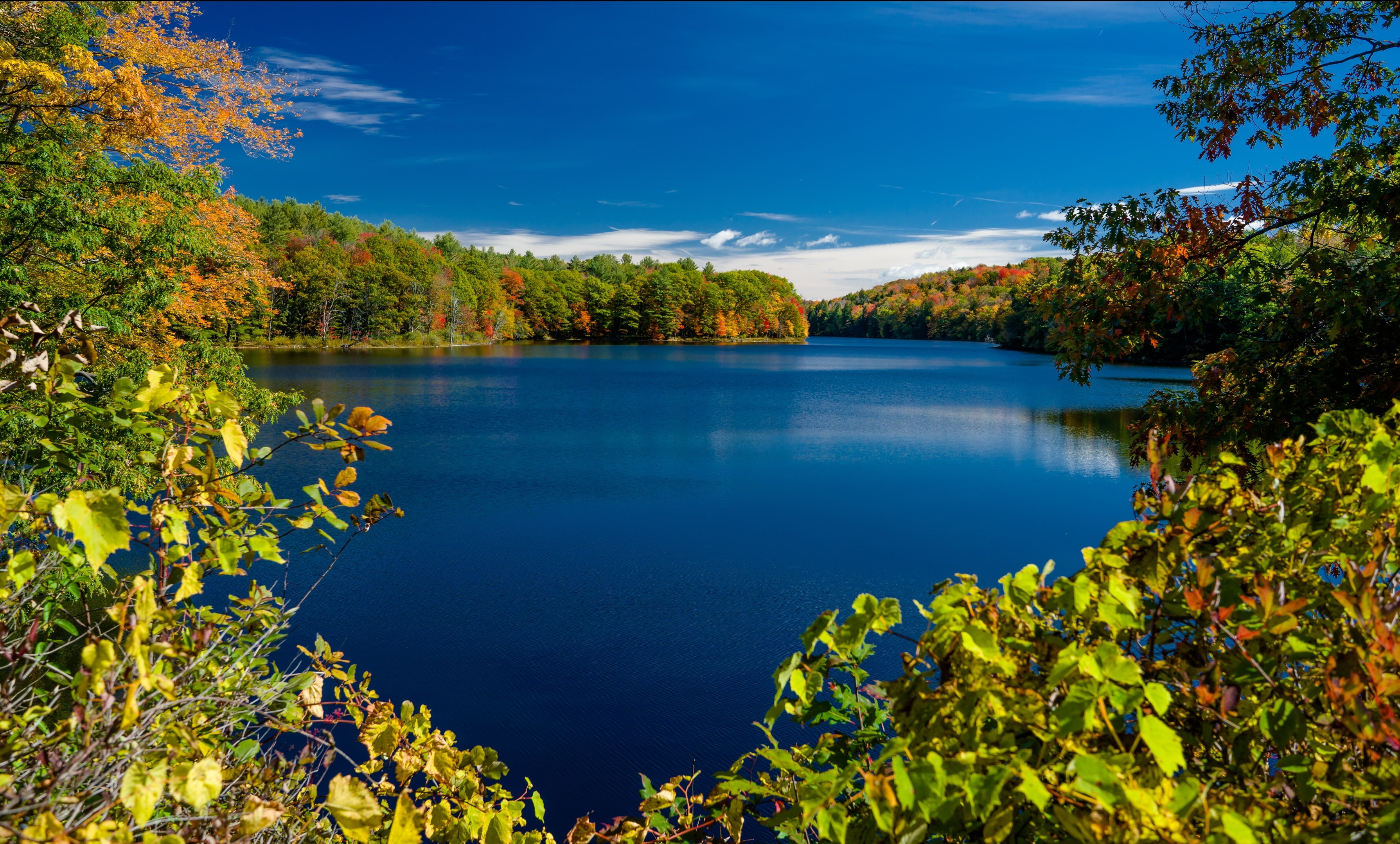 New York, lake, autumn, lake Rockwood, Adirondack Park, trees, the state of new York, The Adirondack Park, Rockwood Lake, branches, 2K, HD Wallpaper