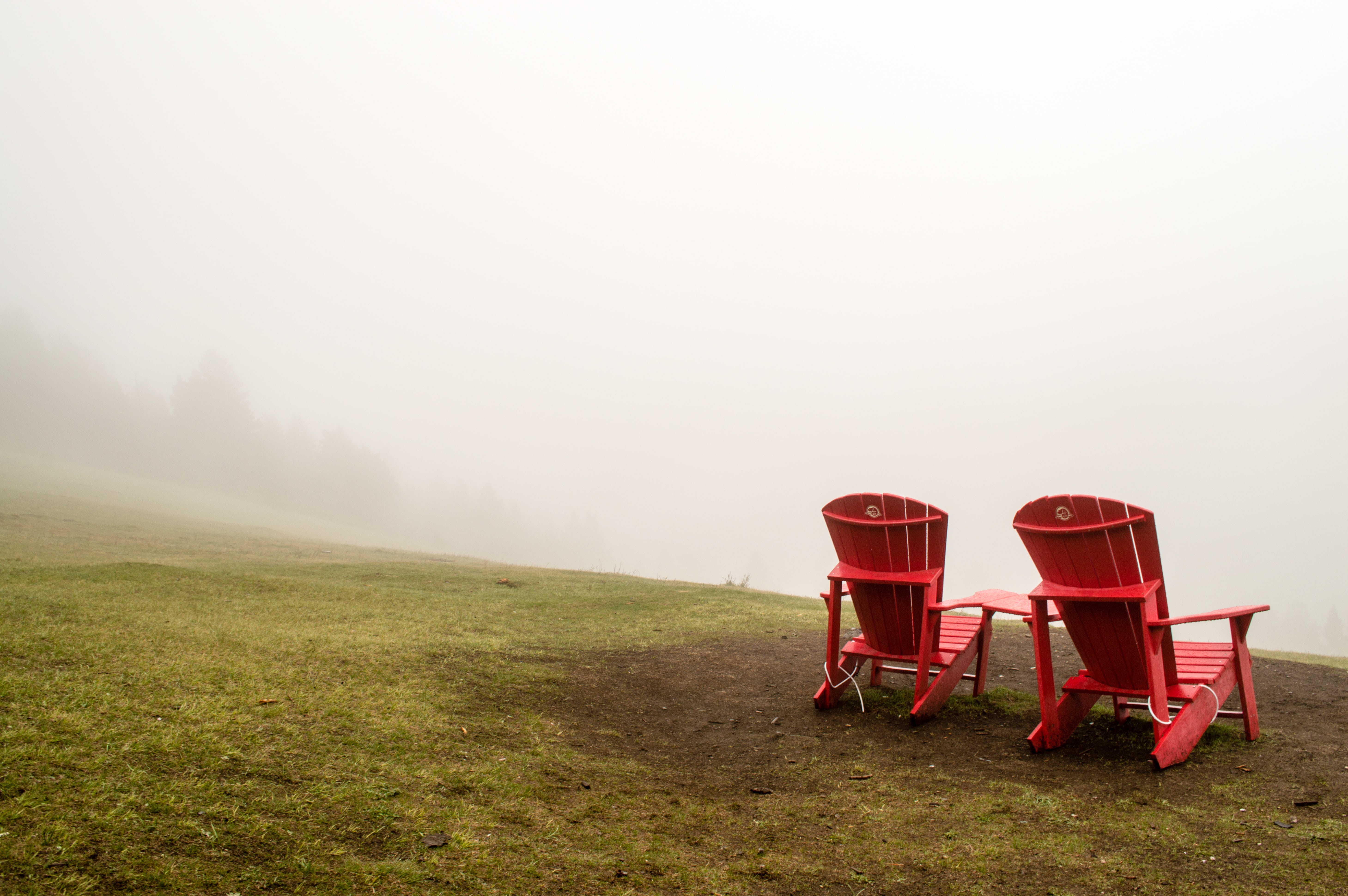 grass, beauty in nature, two, water, still, 5K, plant, outdoors, nature, field, scenics - nature, mountain, adirondack, sky, chairs, tranquil scene, landscape, HD Wallpaper