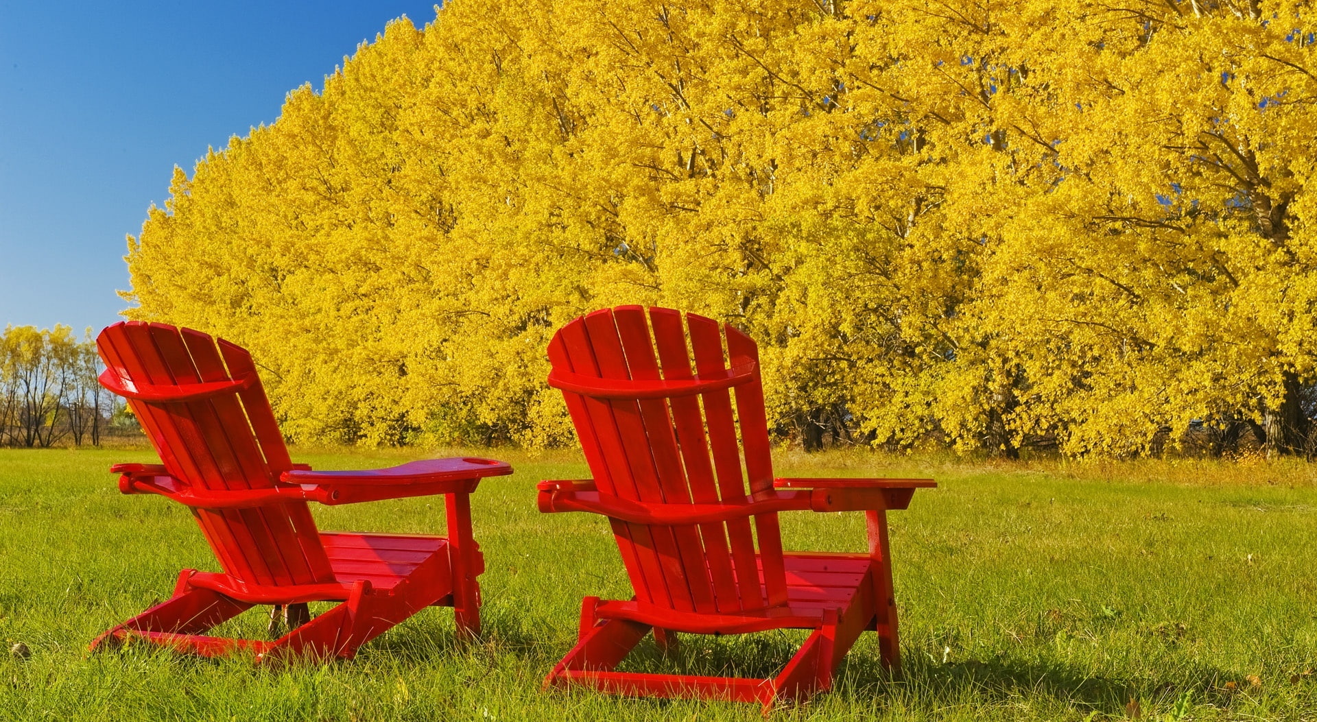 adirondack, beauty in nature, field, Autumn, growth, outdoors, land, outdoor chair, chair, green color, table, two, seat, grass, beautiful, yellow, tranquility, HD Wallpaper