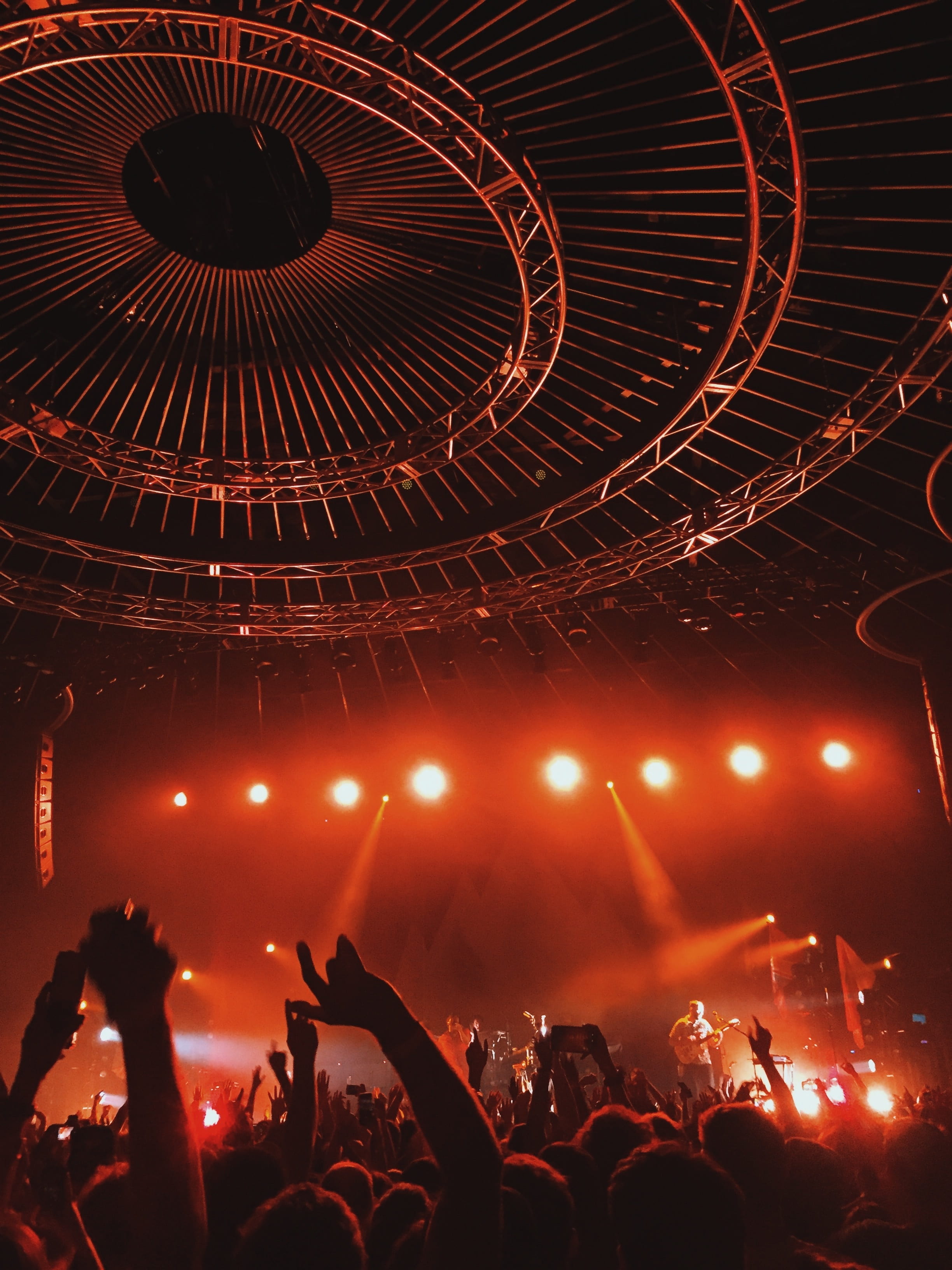 real people, music festival, human arm, excitement, night, performance, lighting equipment, sound, arts culture and entertainment, nightlife, concert, popular music concert, Phone HD Wallpaper