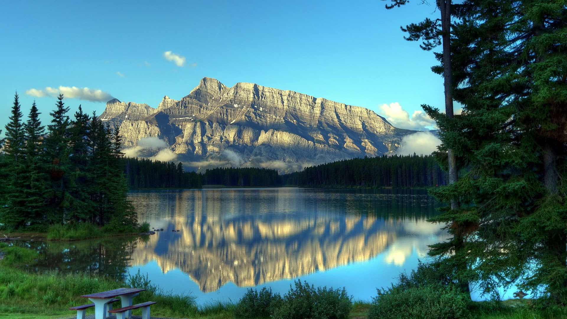 waterfront, tranquility, lake, tree, no people, nature, tranquil scene, idyllic, mountain, day, sky, non-urban scene, reflection, beauty in nature, desktop background picture nature  1920x1080, HD Wallpaper