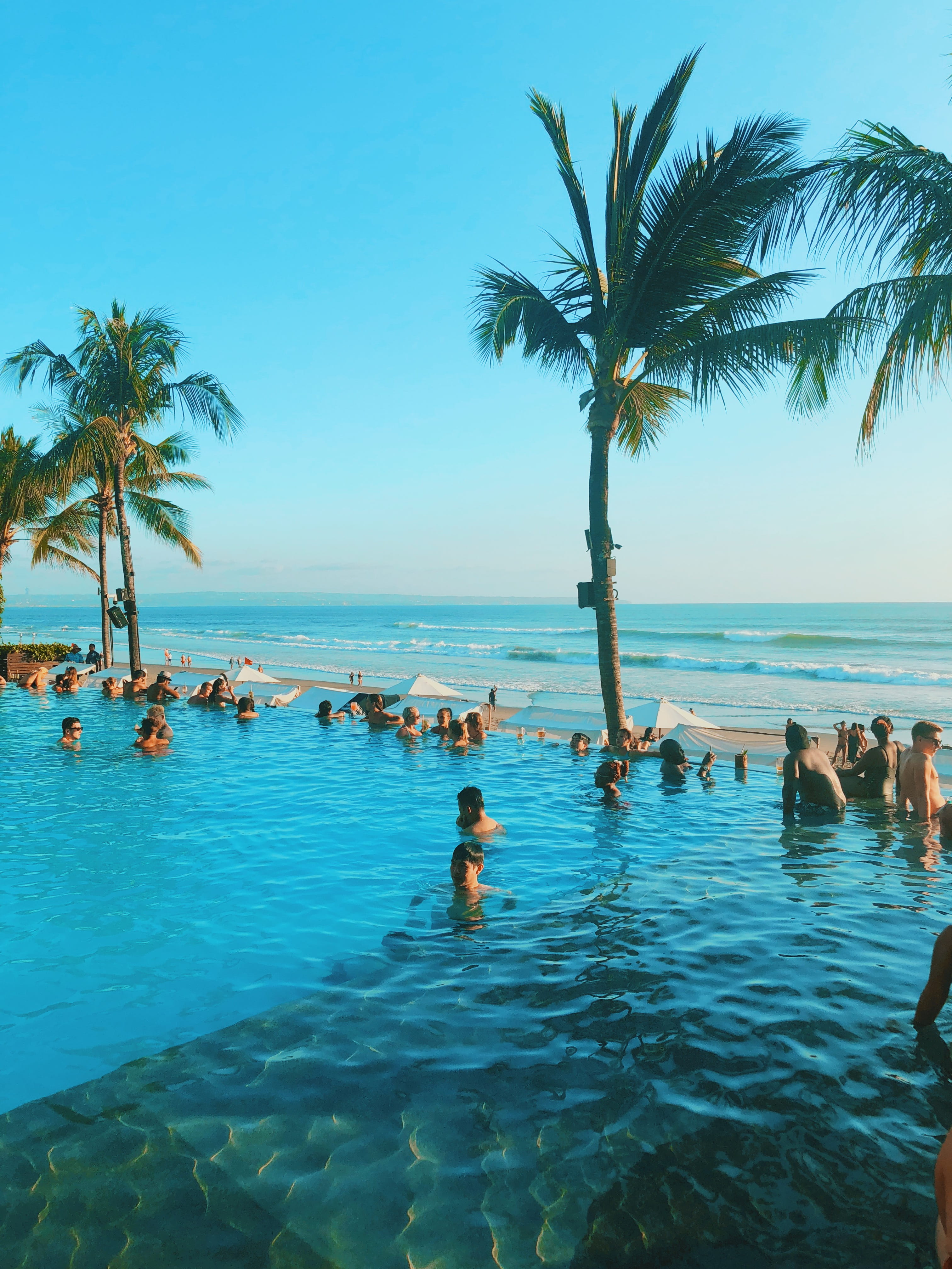 bali, tropical climate, 4K, palm tree, land, holiday, gg. cempaka no.4, sea, real people, tranquil scene, party, outdoors, beauty in nature, water, waterfront, Phone HD Wallpaper