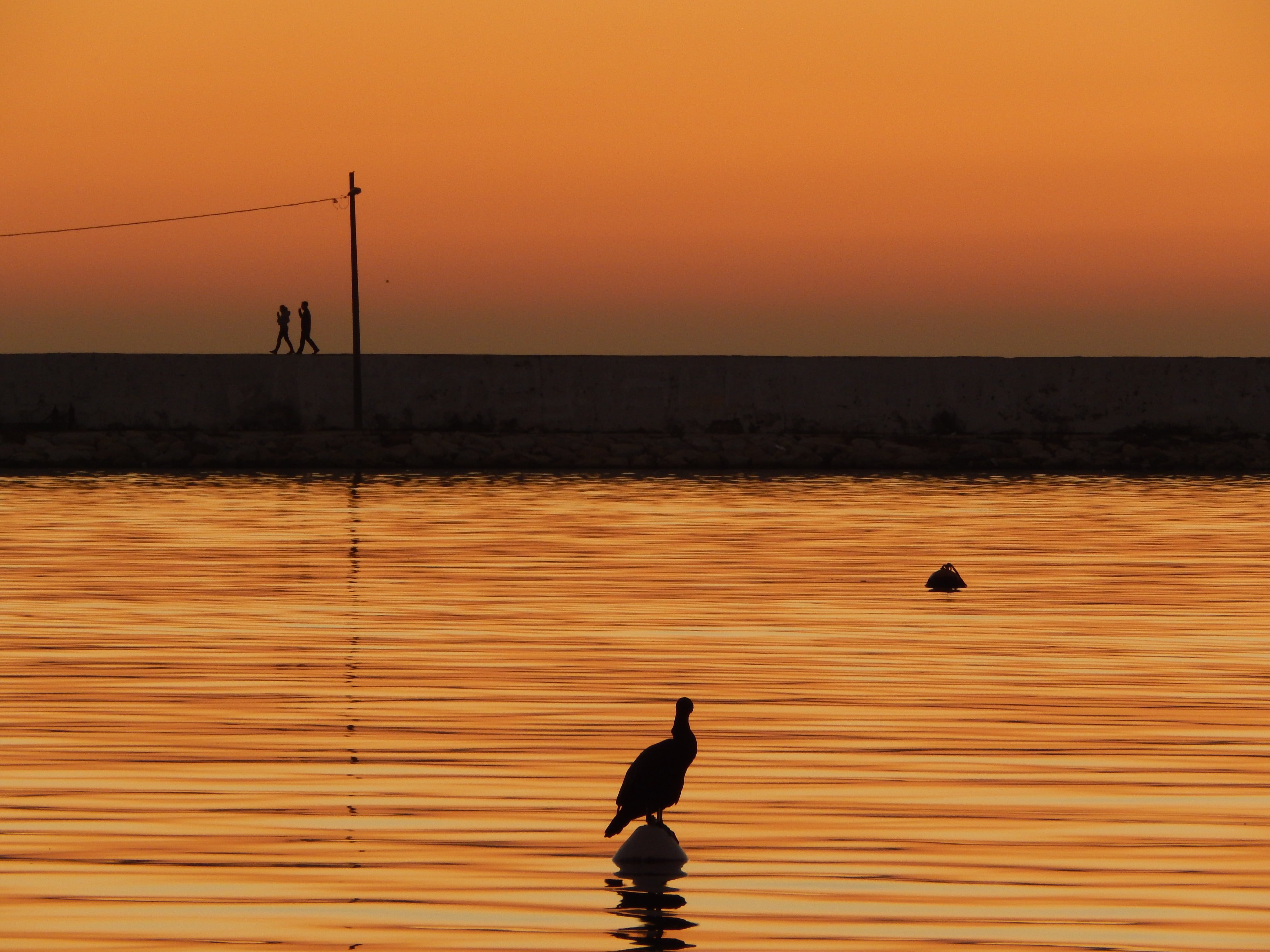 cue, scenics - nature, tranquility, sunset, silhouette, water, orange color, outdoors, sky, wooden, night, reflection, sea, bird, beauty in nature, stick, HD Wallpaper
