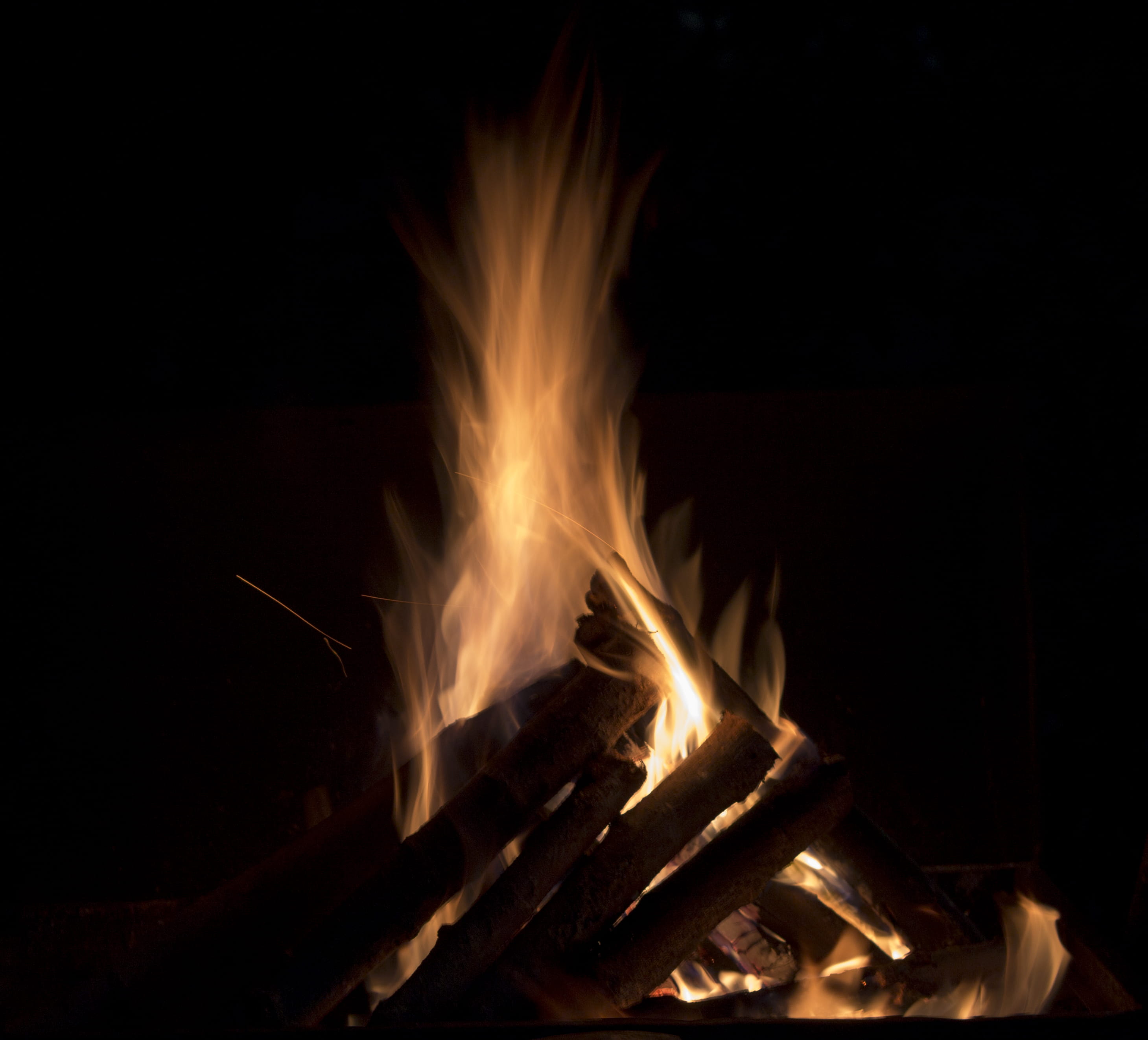 wood - material, camping, barbecue, flame, outdoors, burning, logs, log, woods, forest, bush, motion, black background, braizer, 2K, indoors, hot, heat, HD Wallpaper